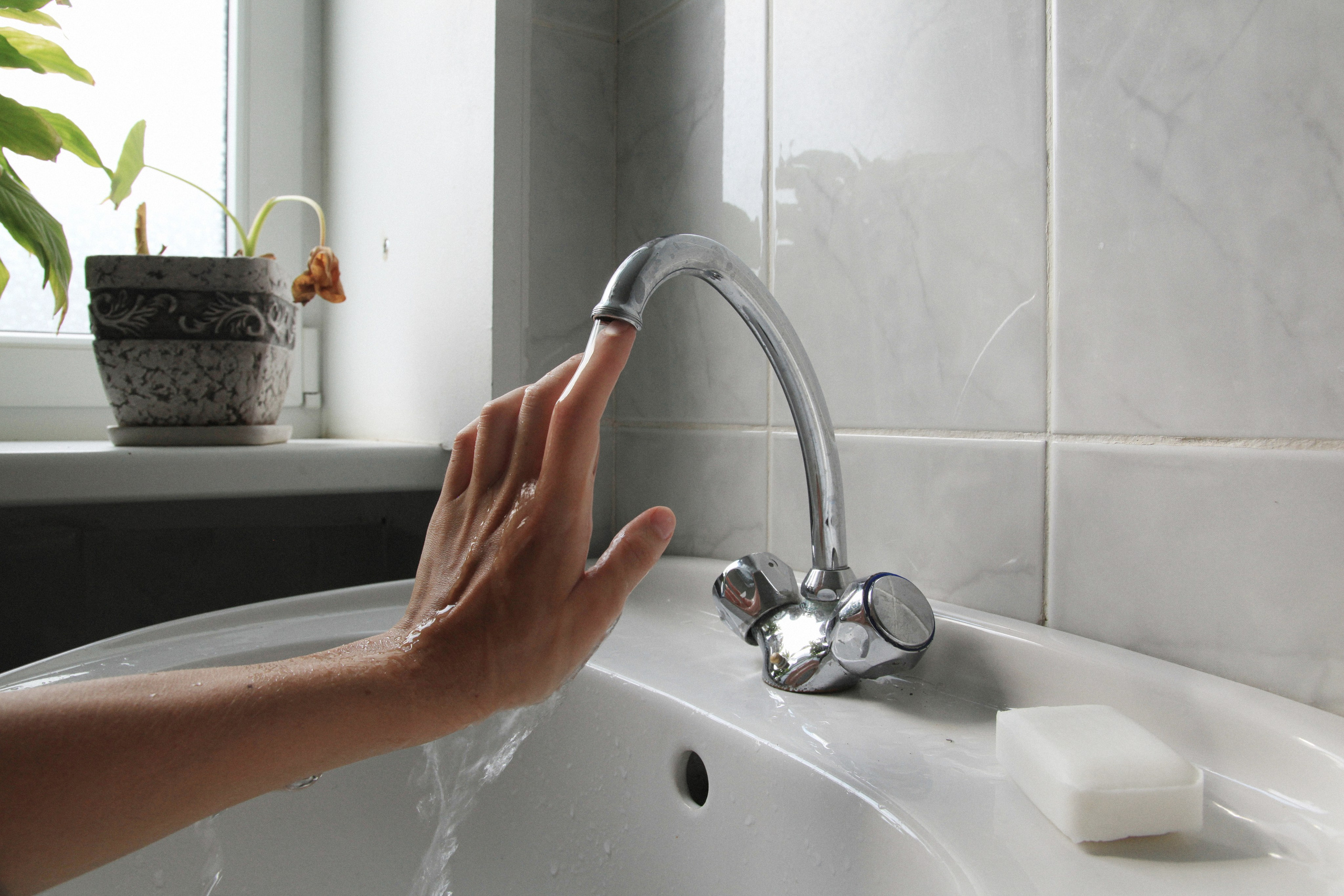 To me, to you 2015. Photographe de produits et natures mortes à Paris