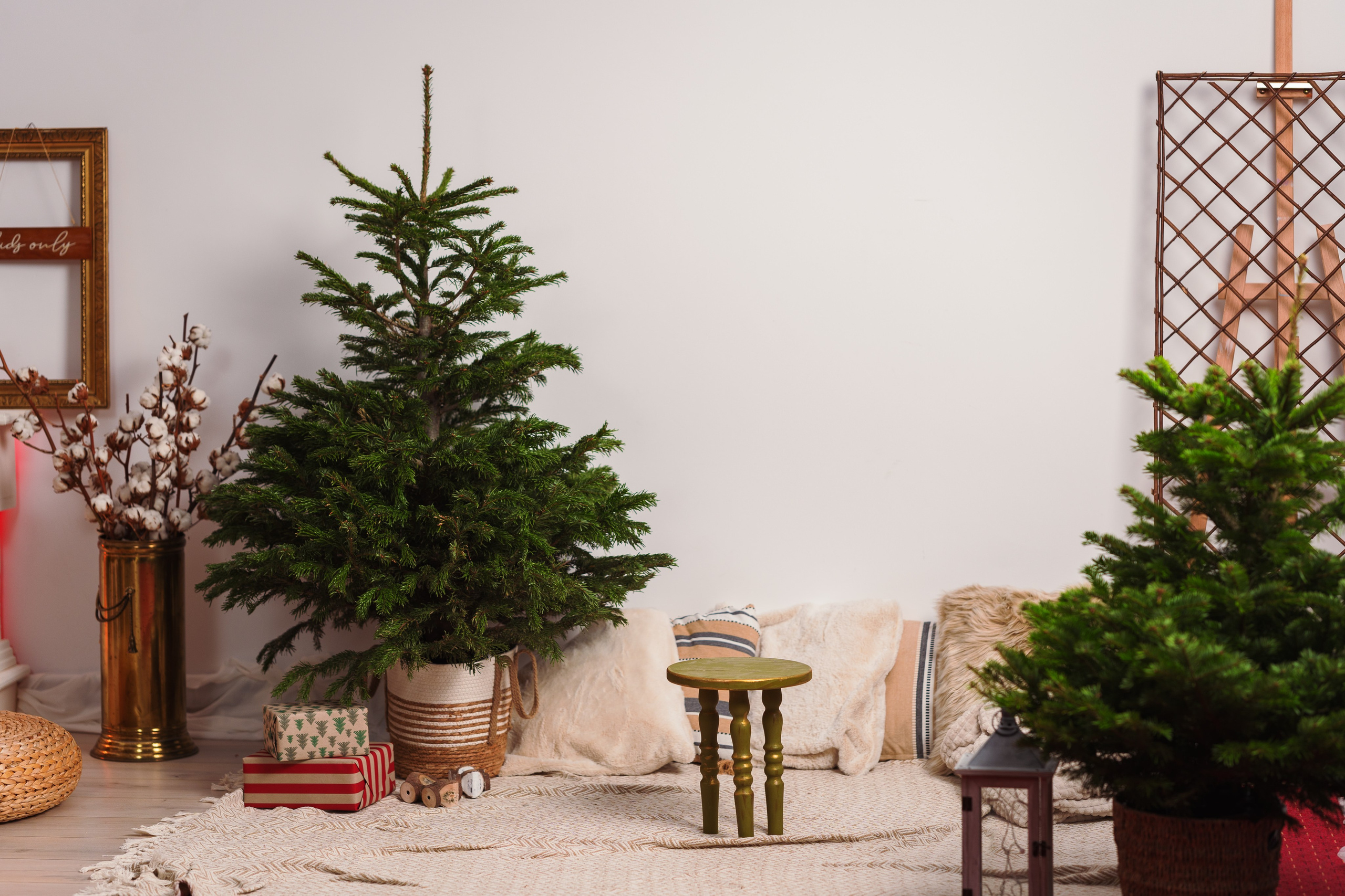 Decor Craciun 2023. Raw Studio. Fotograful tau de nunta!