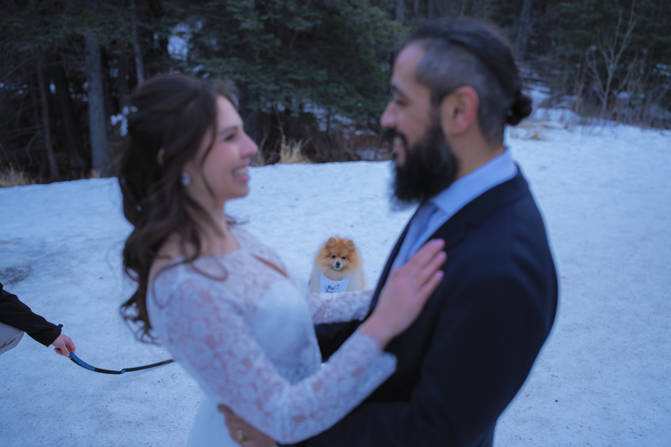 Ani + Elton. Allo Photography by Carlos Lima  in Calgary