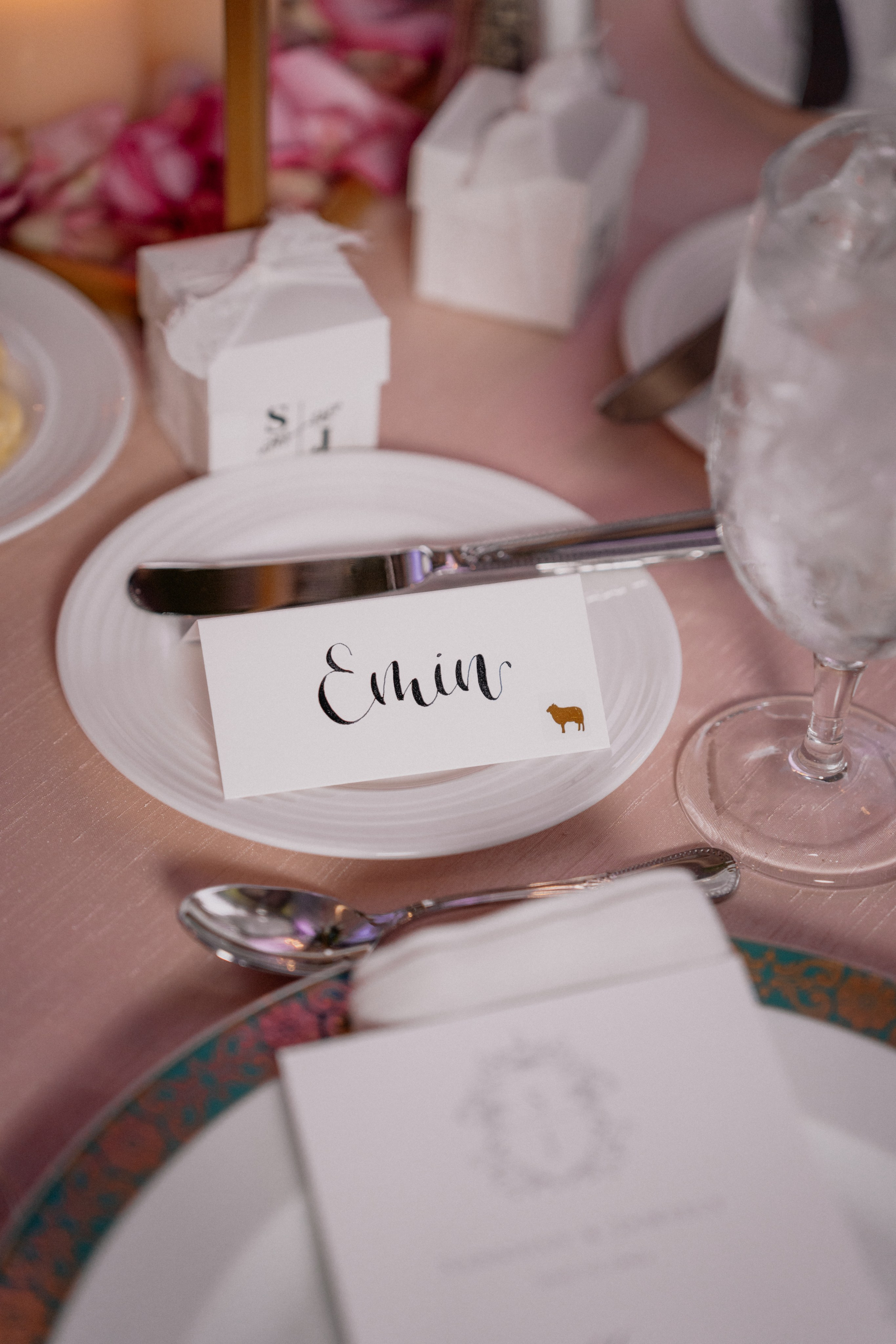 Jamily&Sarhan. DE. Wedding and family photographer and videographer PA, NJ, NY, DE, MD