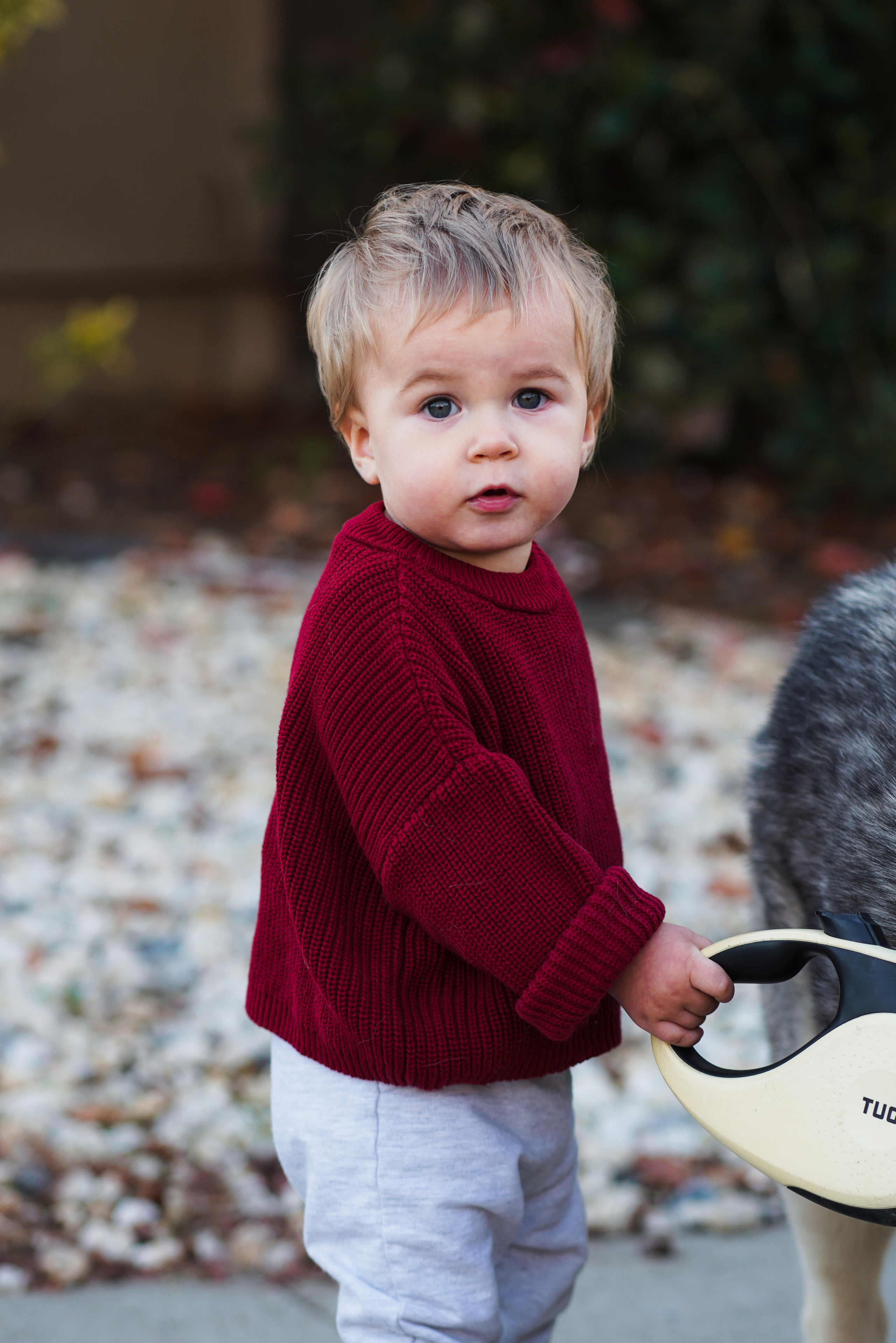 Sacramento, Rancho Cordova. Sacramento Photographer — Olga Maltseva based in California