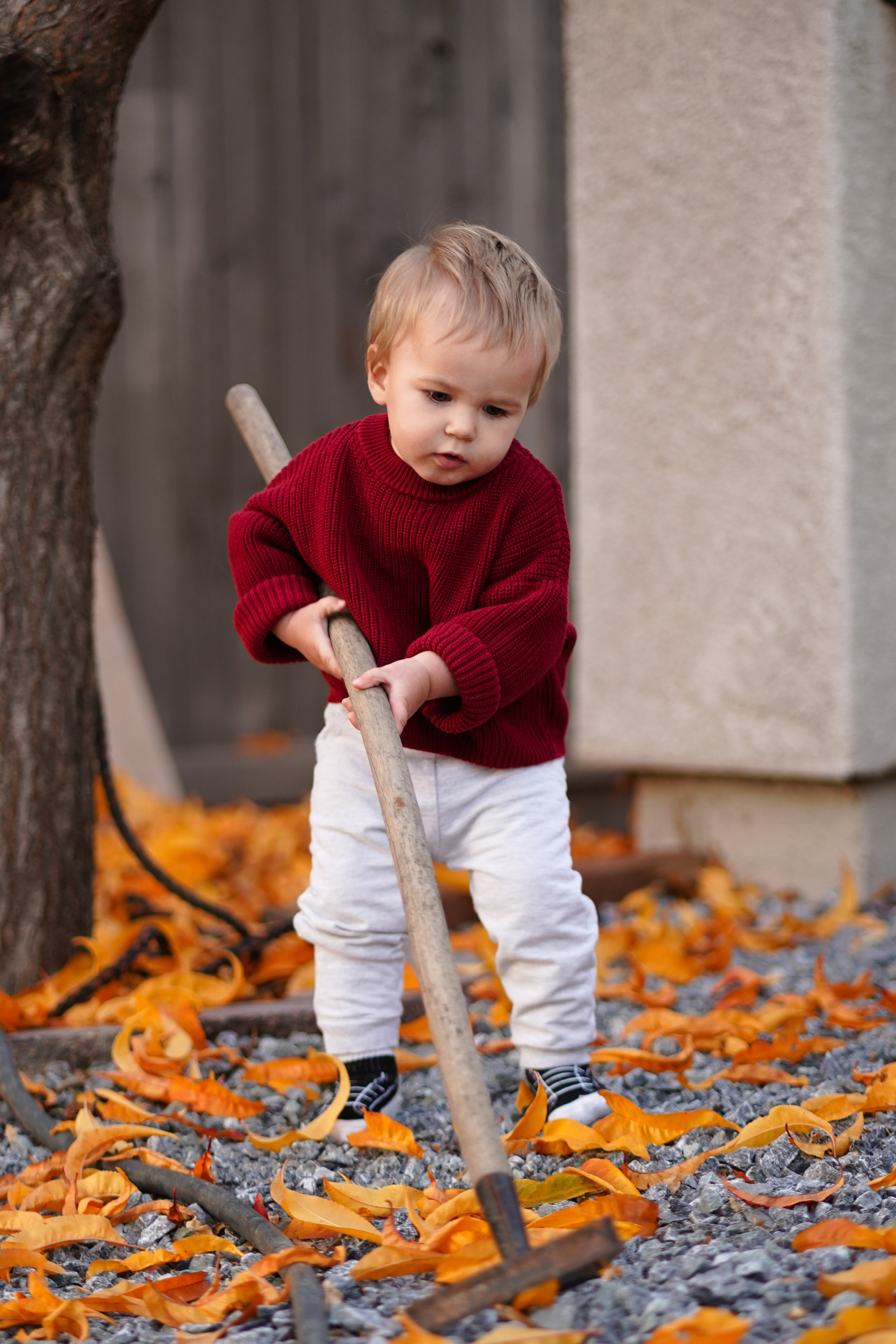 Sacramento, Rancho Cordova. Sacramento Photographer — Olga Maltseva based in California