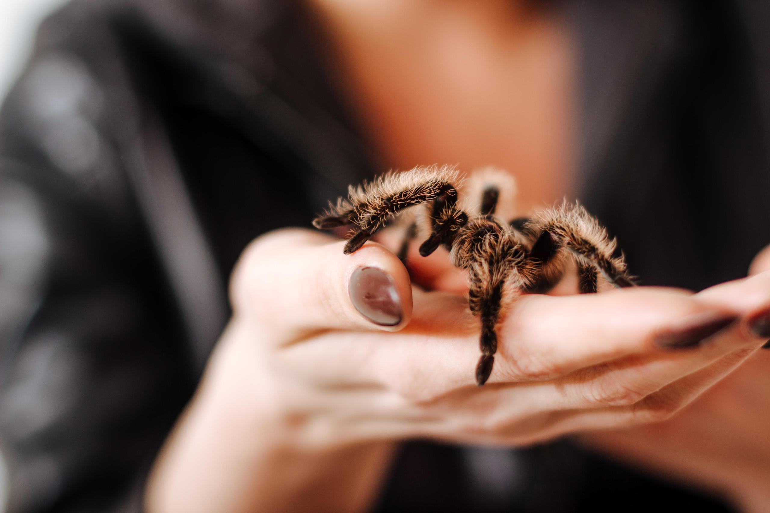 Рептилии. Женский и семейный фотограф в Ташкенте