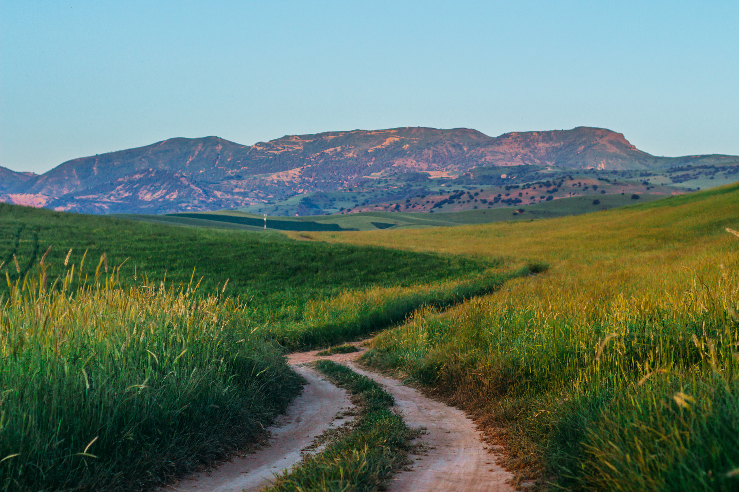 За городом (горы, сады, поля). Женский и семейный фотограф в Ташкенте