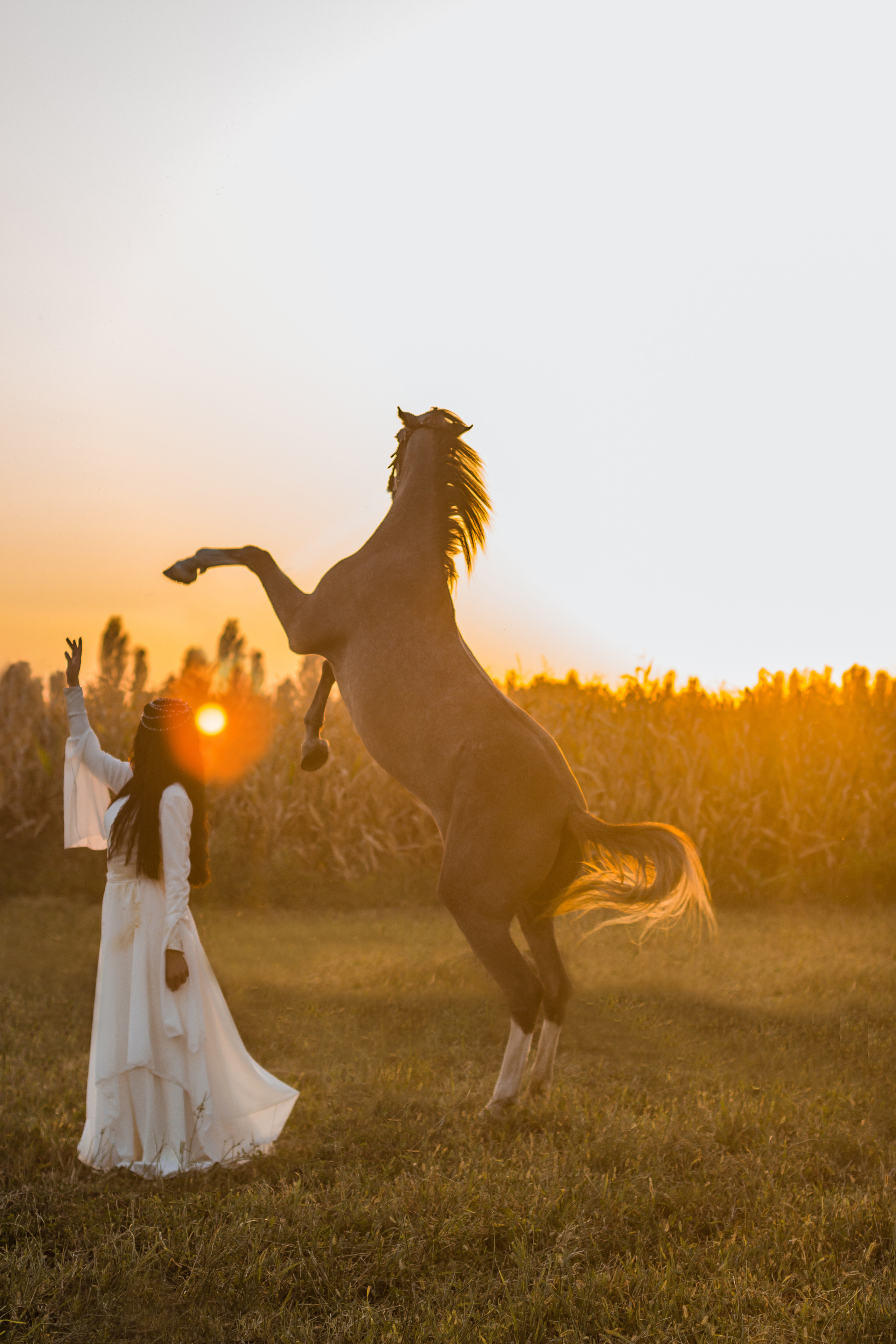 С лошадьми. Женский и семейный фотограф в Ташкенте