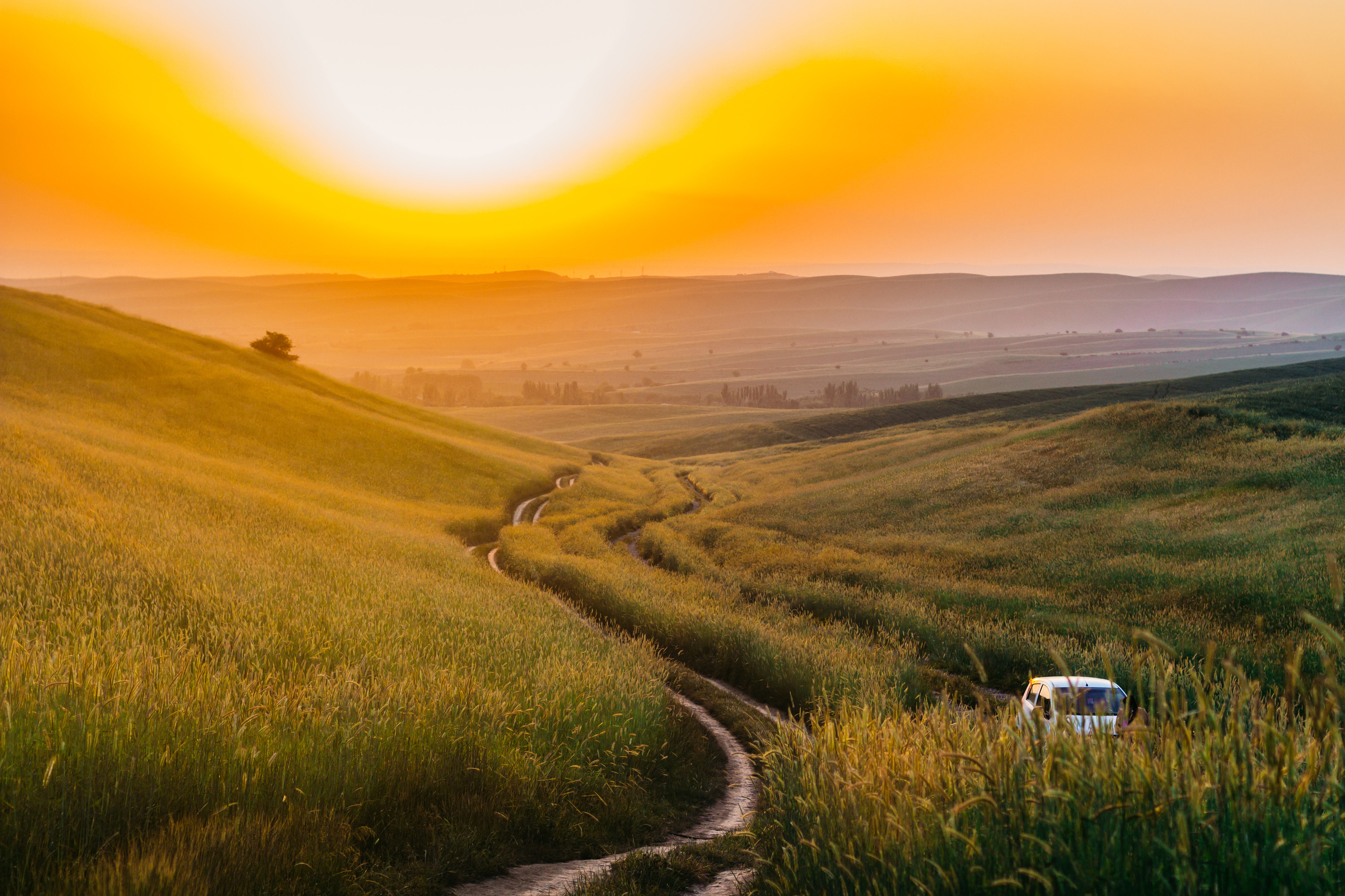 За городом (горы, сады, поля). Женский и семейный фотограф в Ташкенте