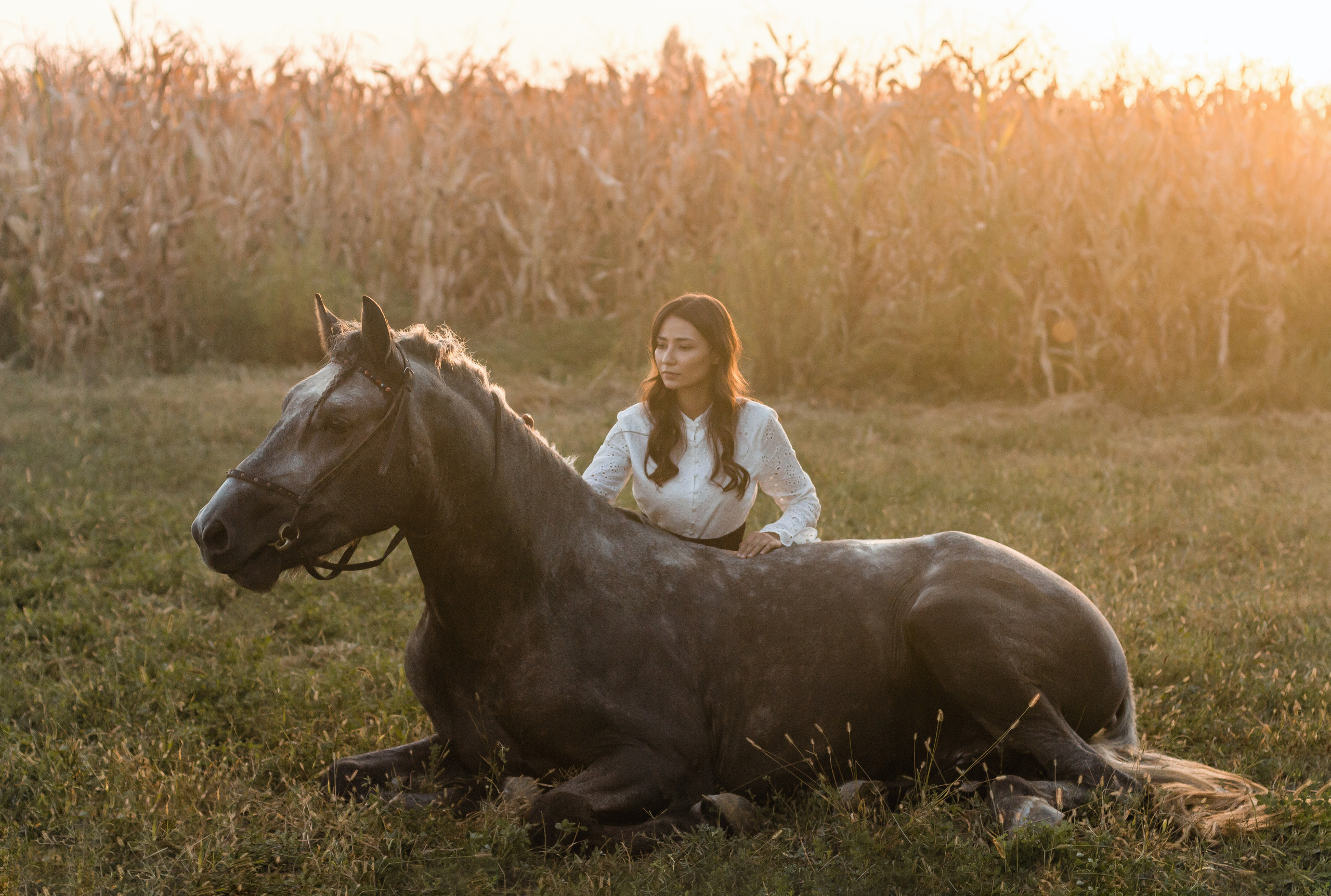 С лошадьми. Женский и семейный фотограф в Ташкенте