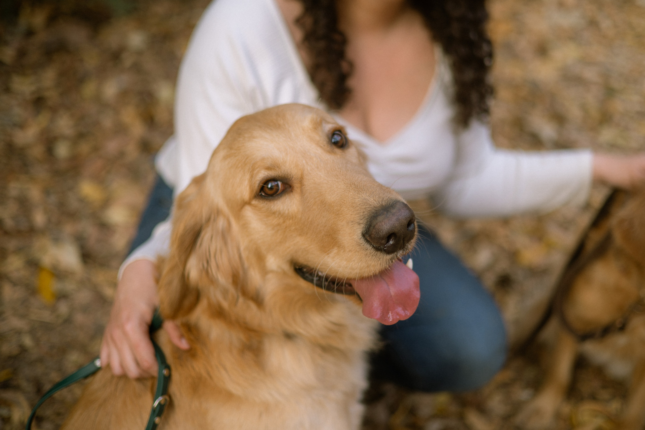 Briana, Denali & Stoeger. Photographer in Los Angeles. Julia Ishmuratova