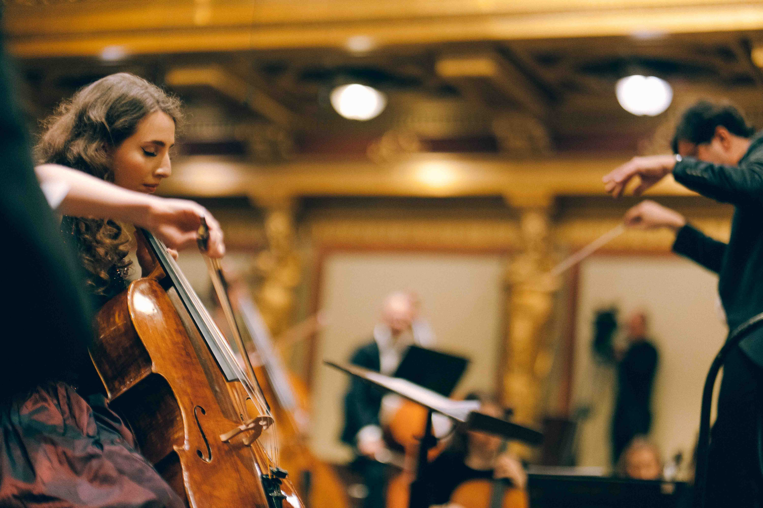 MUSIKVEREIN (VIENNA). Wedding&Event photographer Ismail Rzayev in Baku