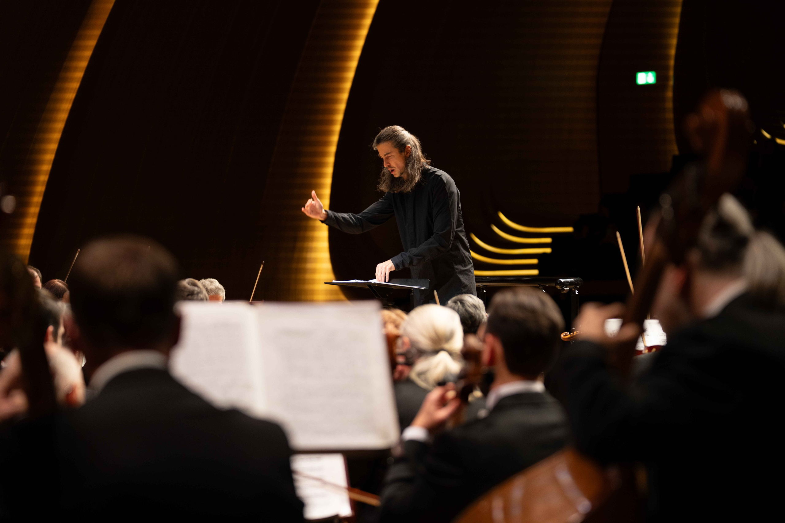 The Tchaikovsky Academic Grand Symphony Orchestra in Baku. Wedding&Event photographer Ismail Rzayev in Baku