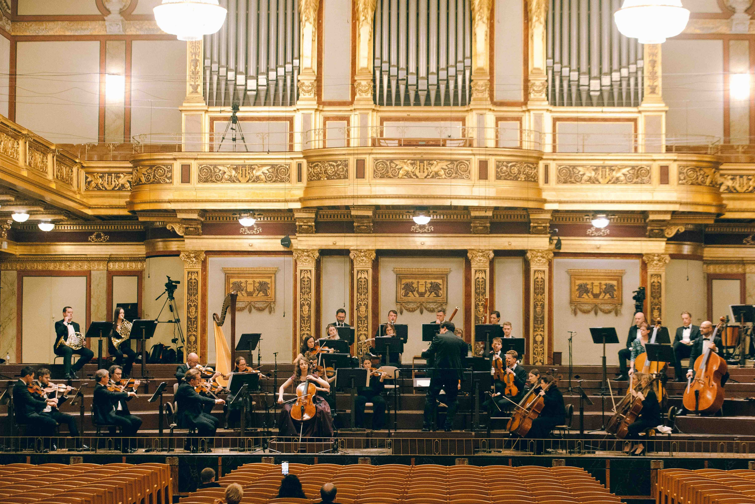 MUSIKVEREIN (VIENNA). Wedding&Event photographer Ismail Rzayev in Baku