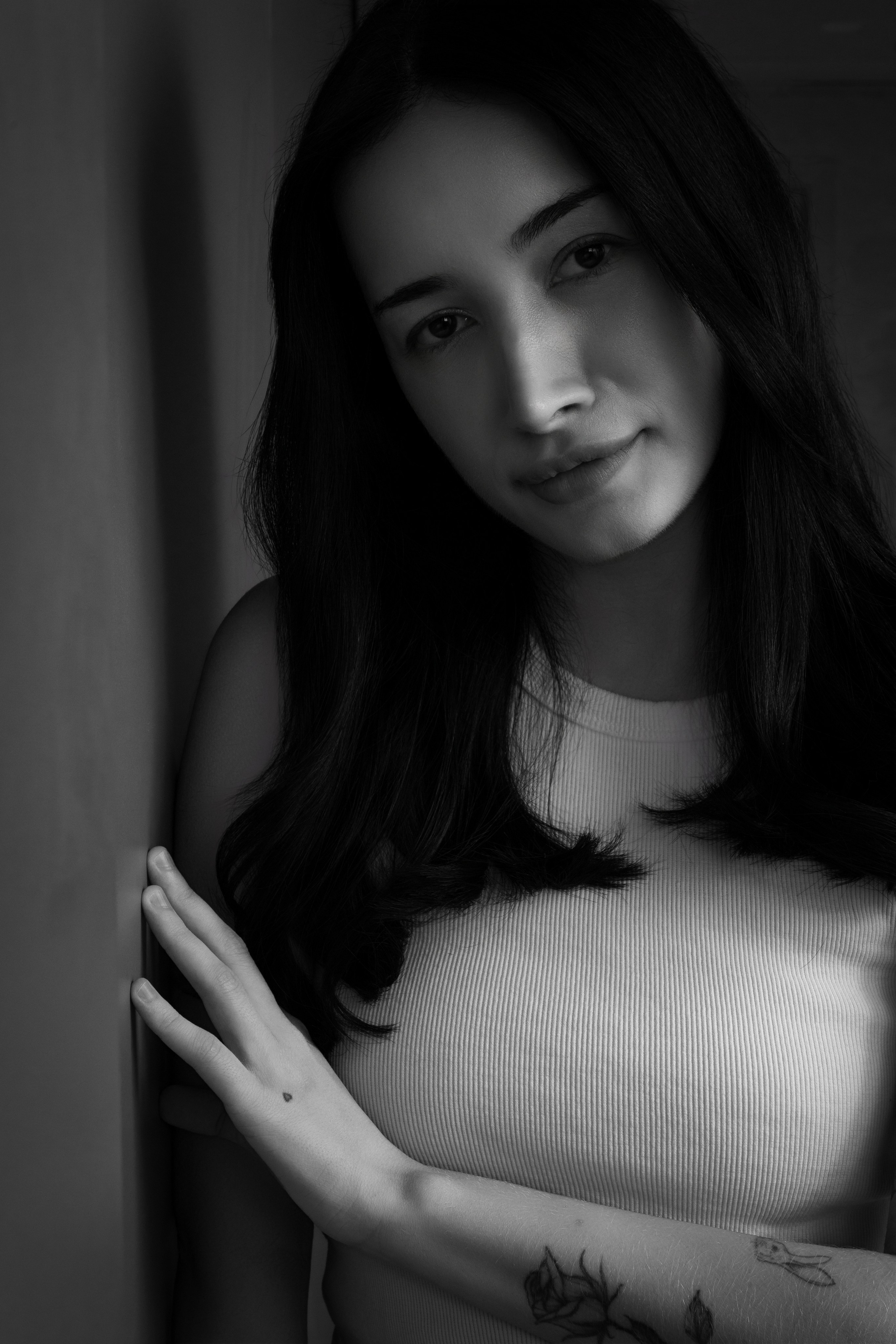 Ensaios. Fernando Giopato