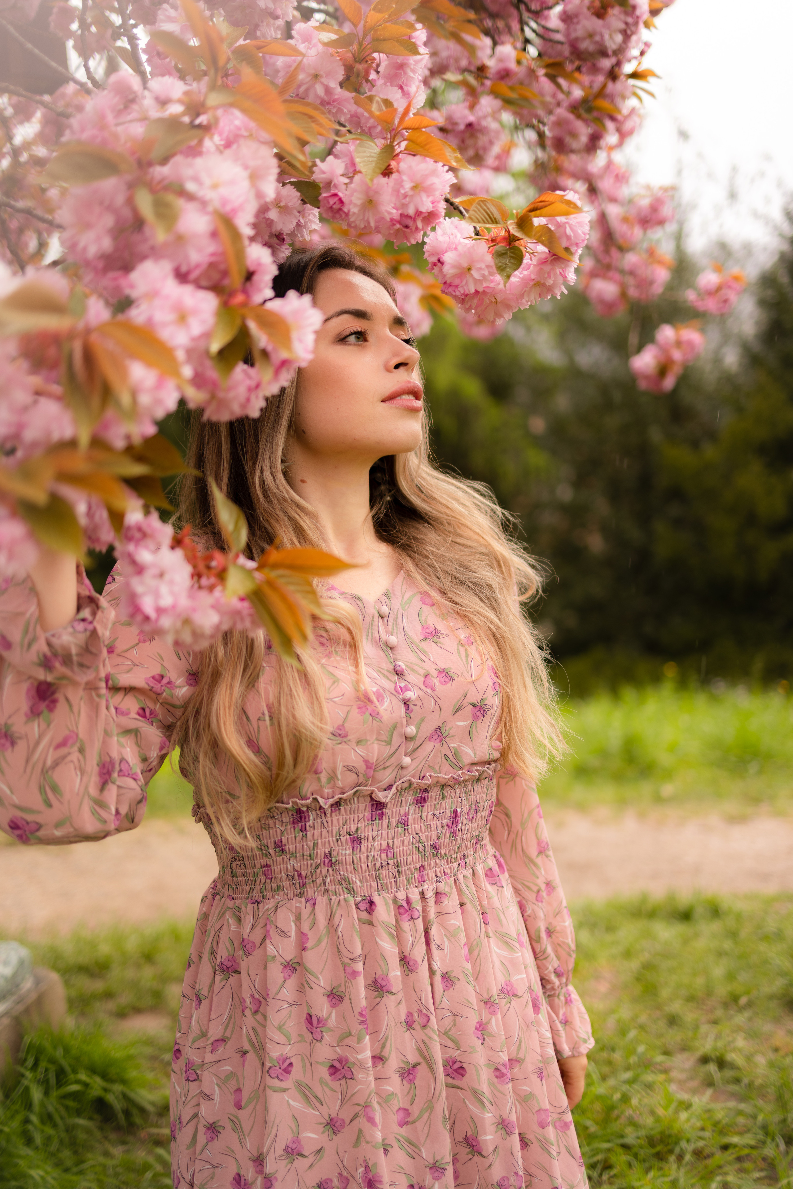 Cherry blossom. Family photographer Zurich & Switzerland Daria Moore