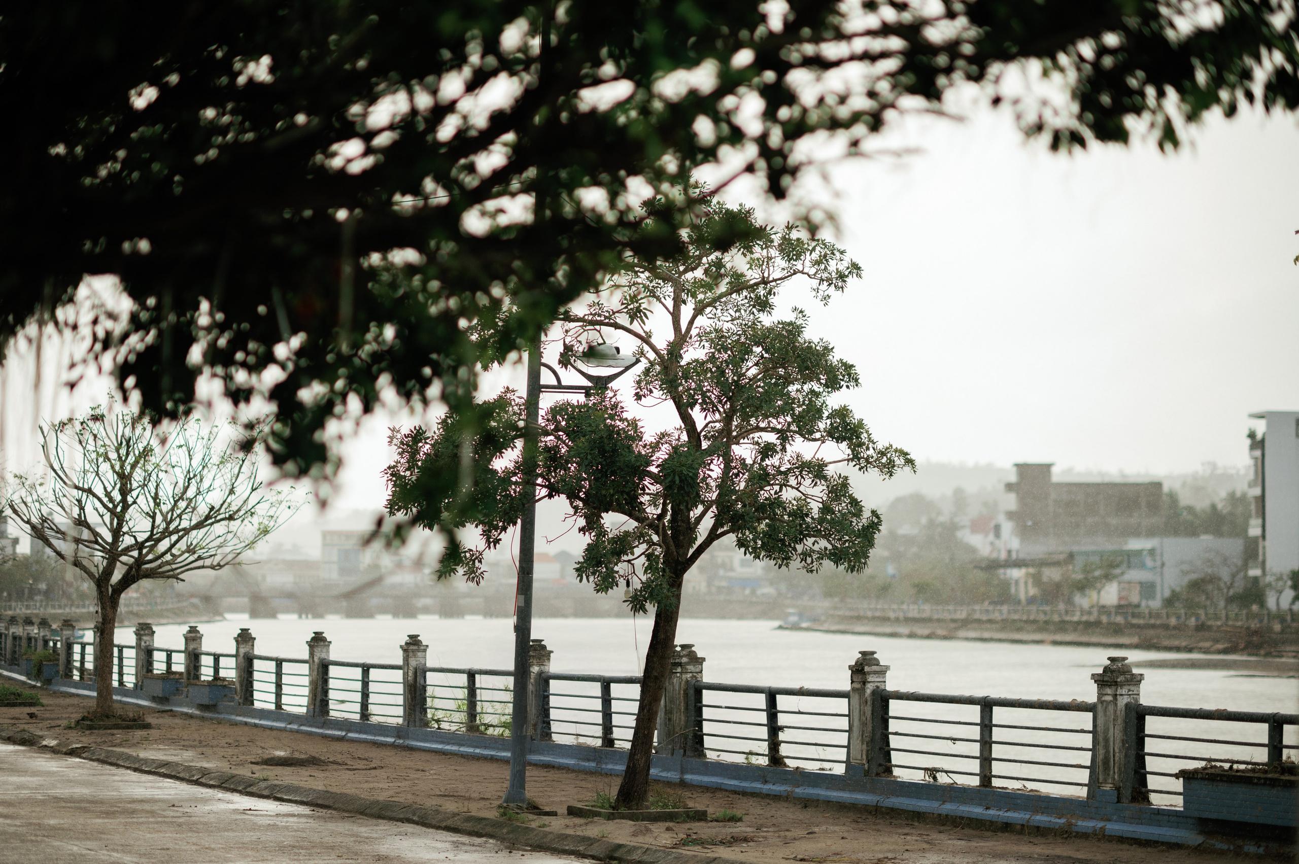 Ngân & Tâm. Cam Images