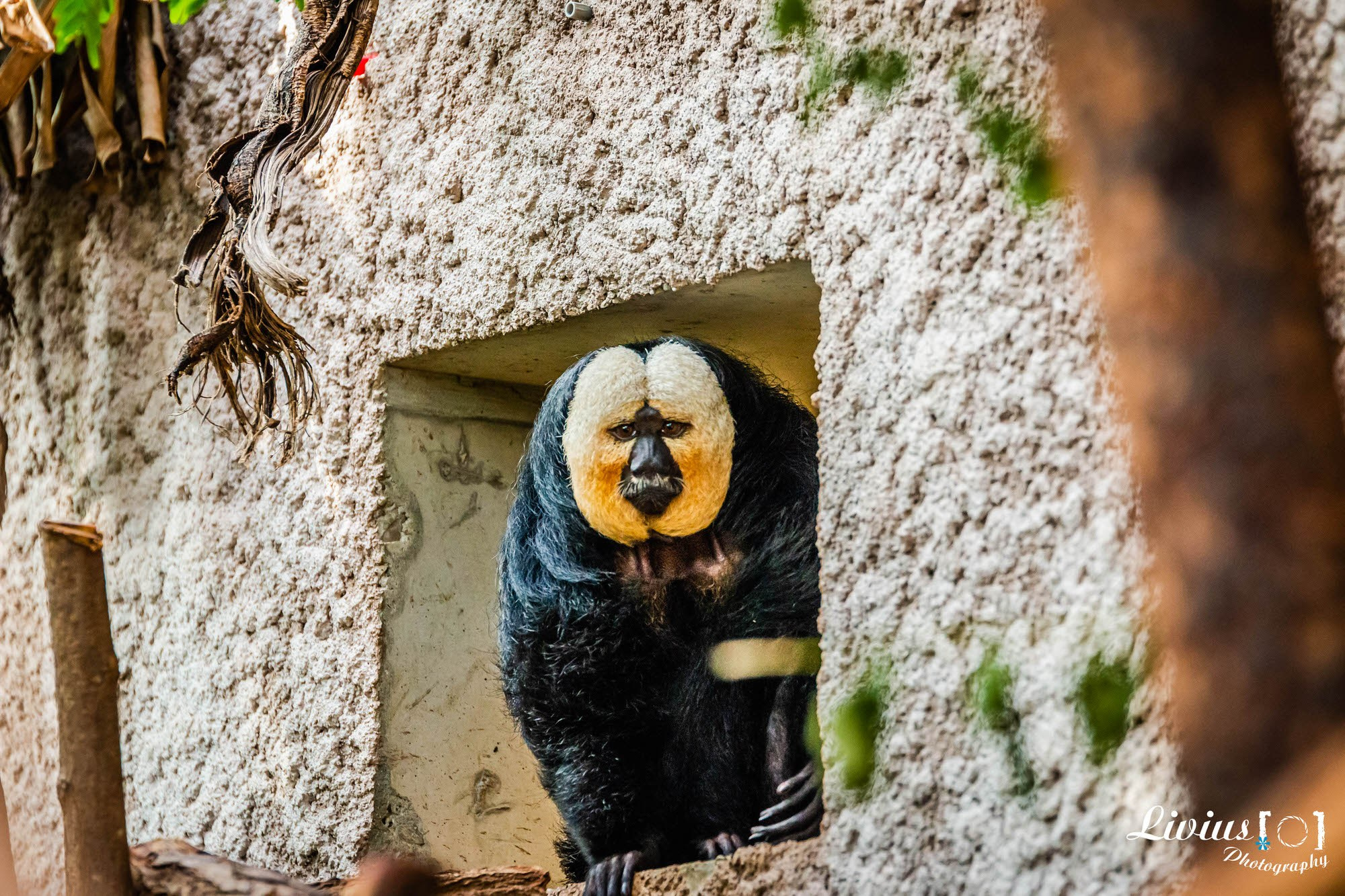 Tierpark Nürnberg. FOTO KREATIV