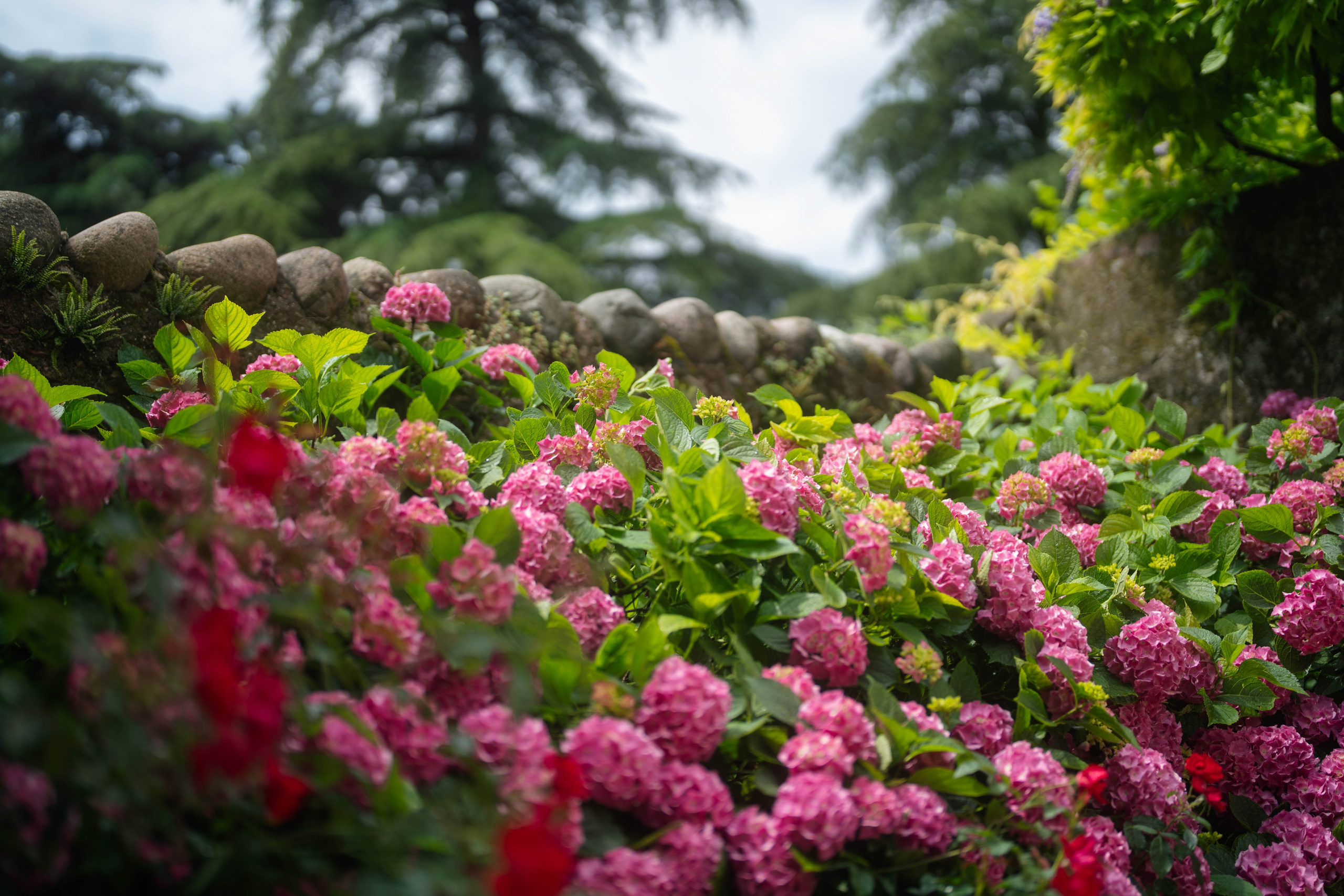 Cosmin & Georgiana. Studio Timis