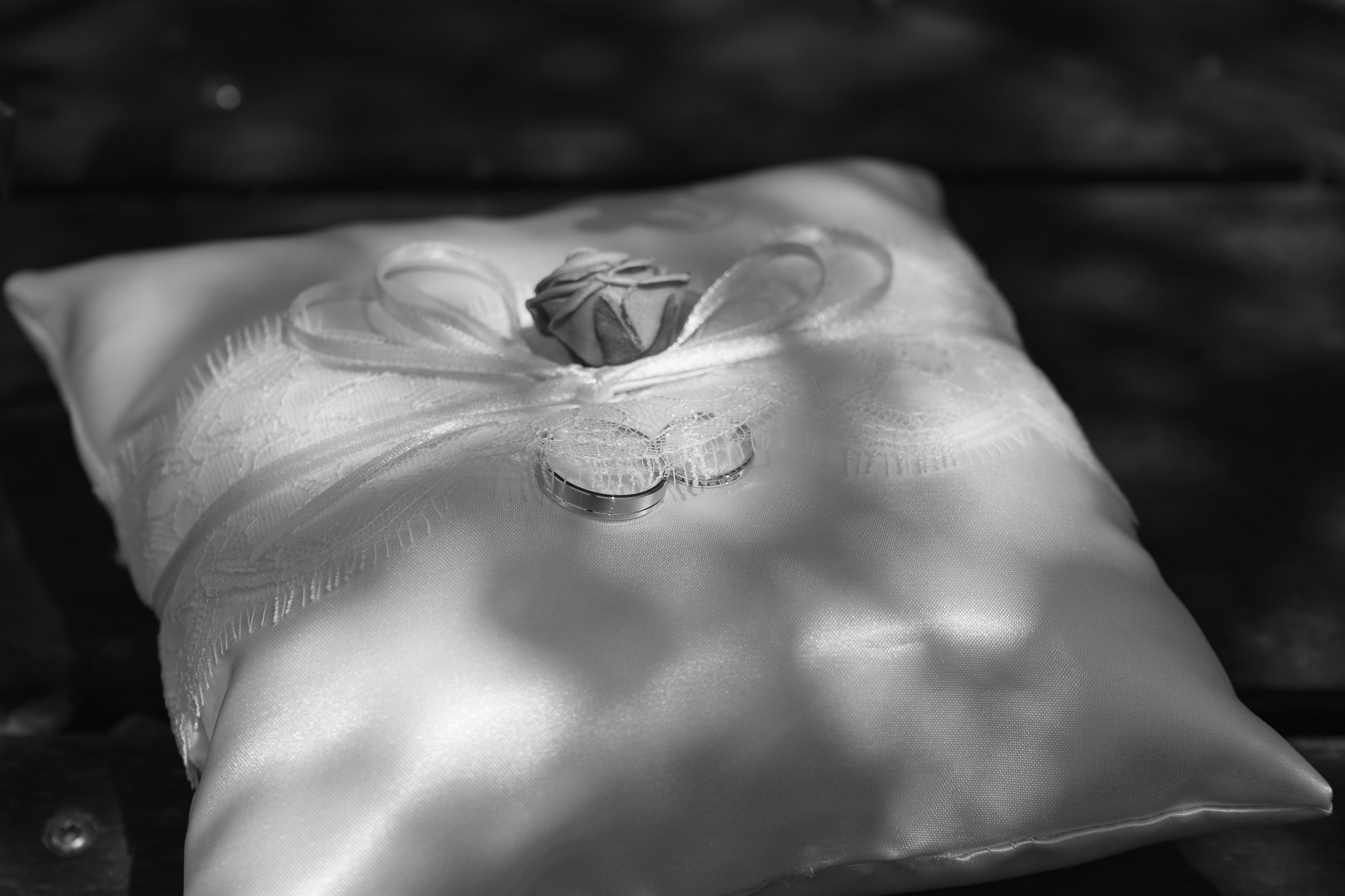 Agathe & Florian. Ekaterina Brevet - photographe de mariage