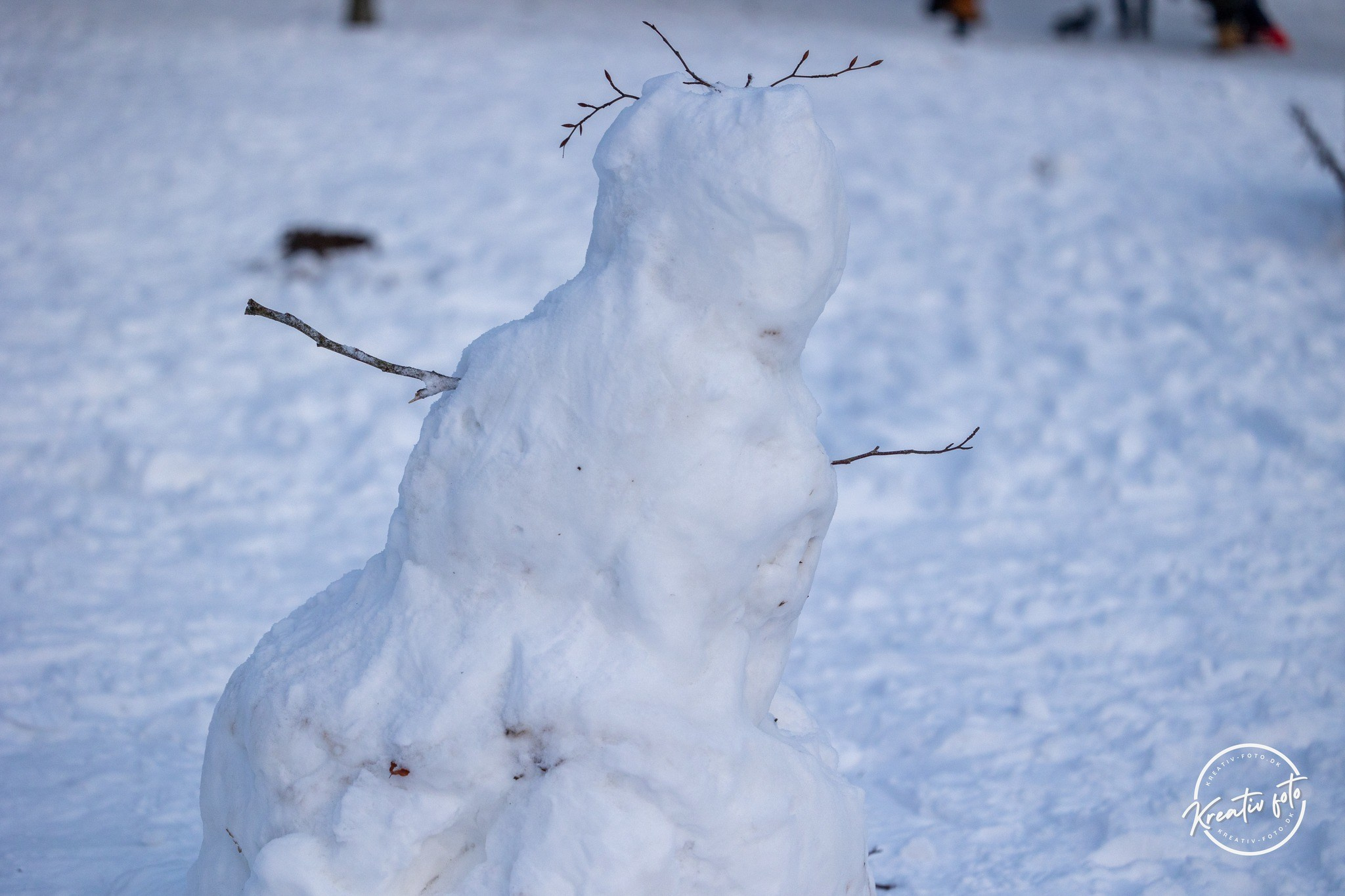 Vinter. Fotograf Aarhus | Portrætfoto Århus | Flotte billeder