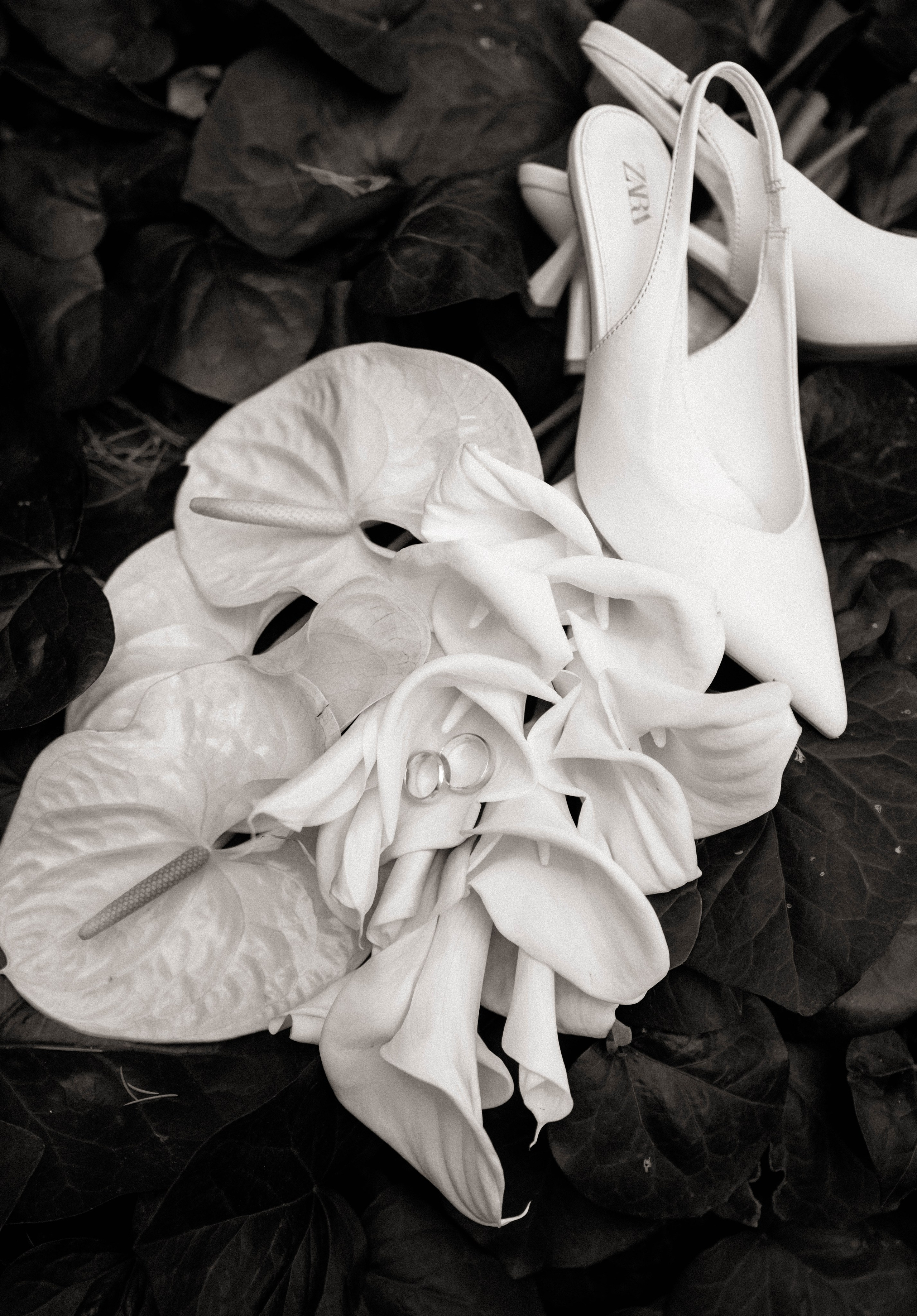 Wedding. ფოტოგრაფი სალომე ბარბაქაძე