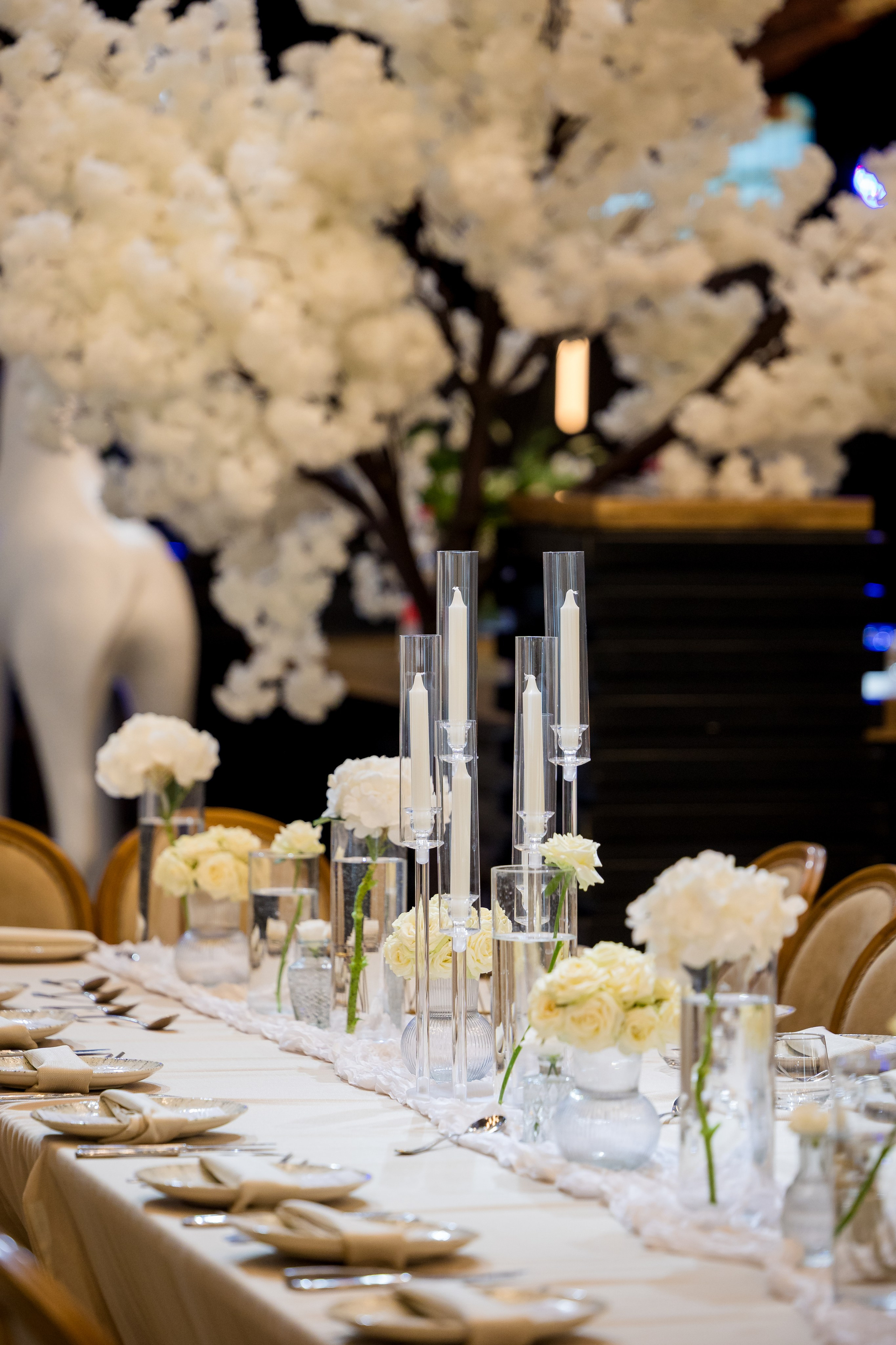 Osher & Or. AMIR BUCHNIK PHOTOGRAPHER