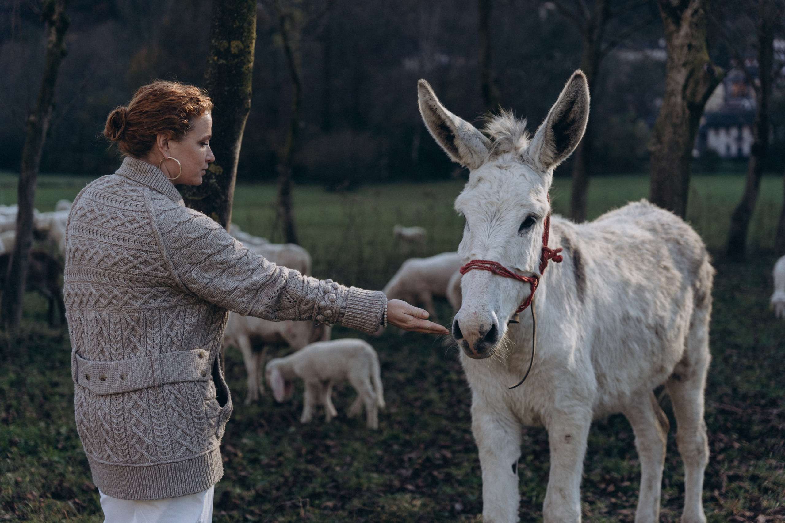 EGENIA. PHOTOGRAPHER IN ITALY
