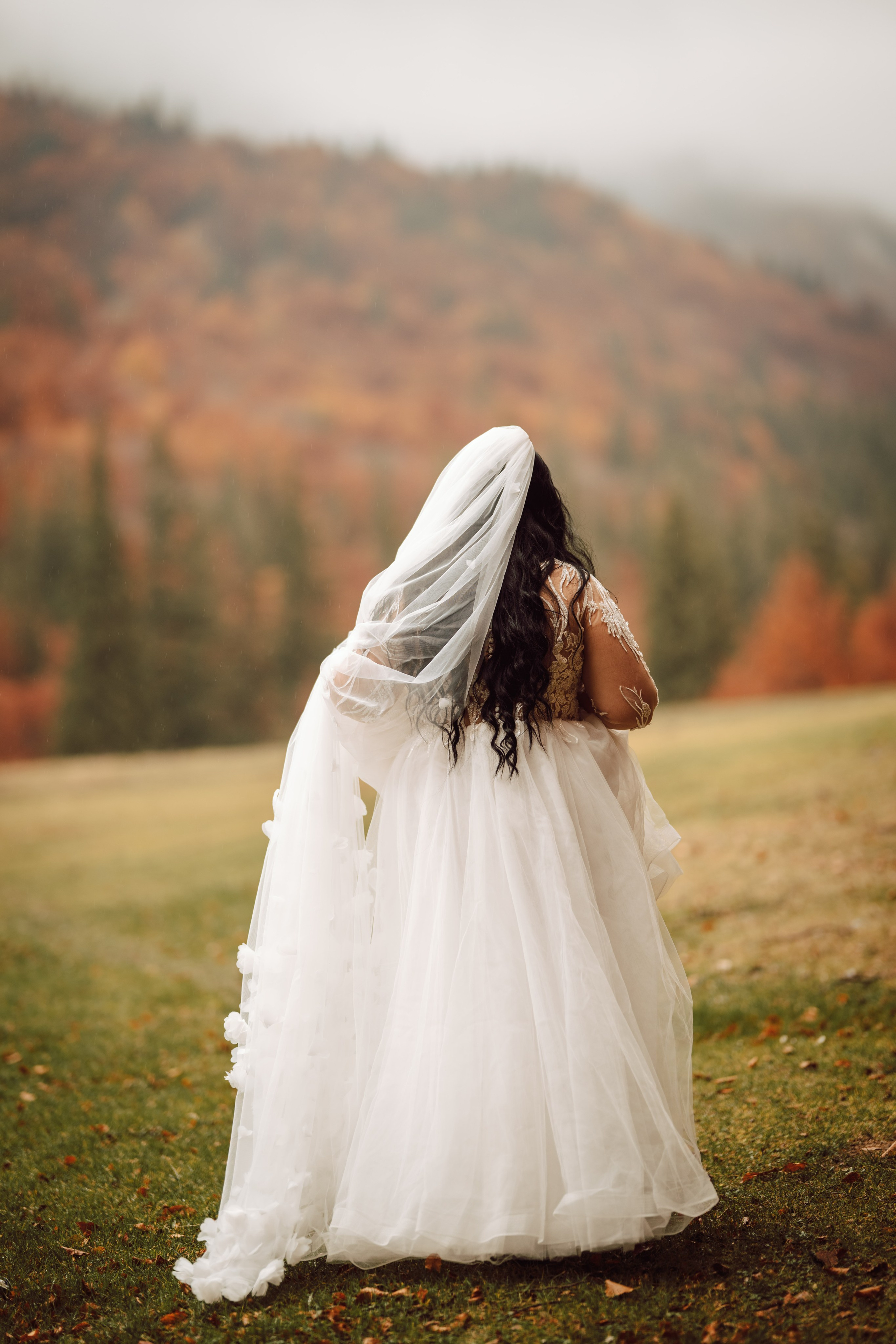 Catalina & Catalin. The Catalins Events — Wedding Photography & Videography