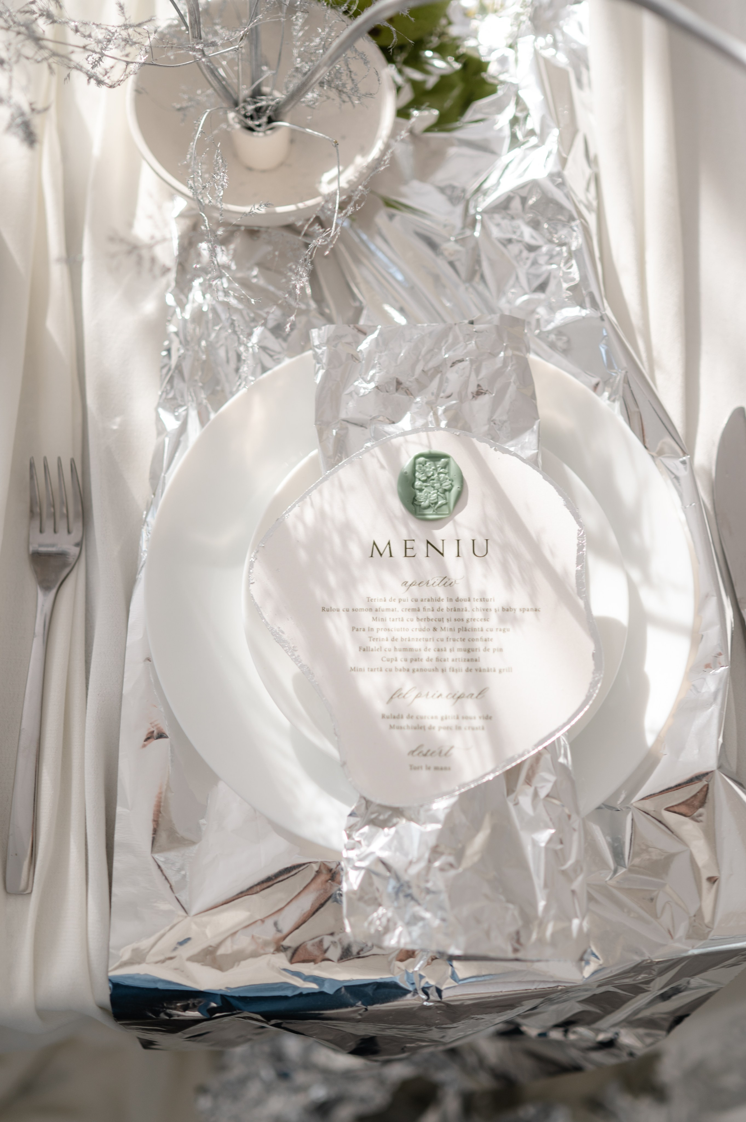 Bride with a concept silver Chrome. Alexandra Hanu Photographer