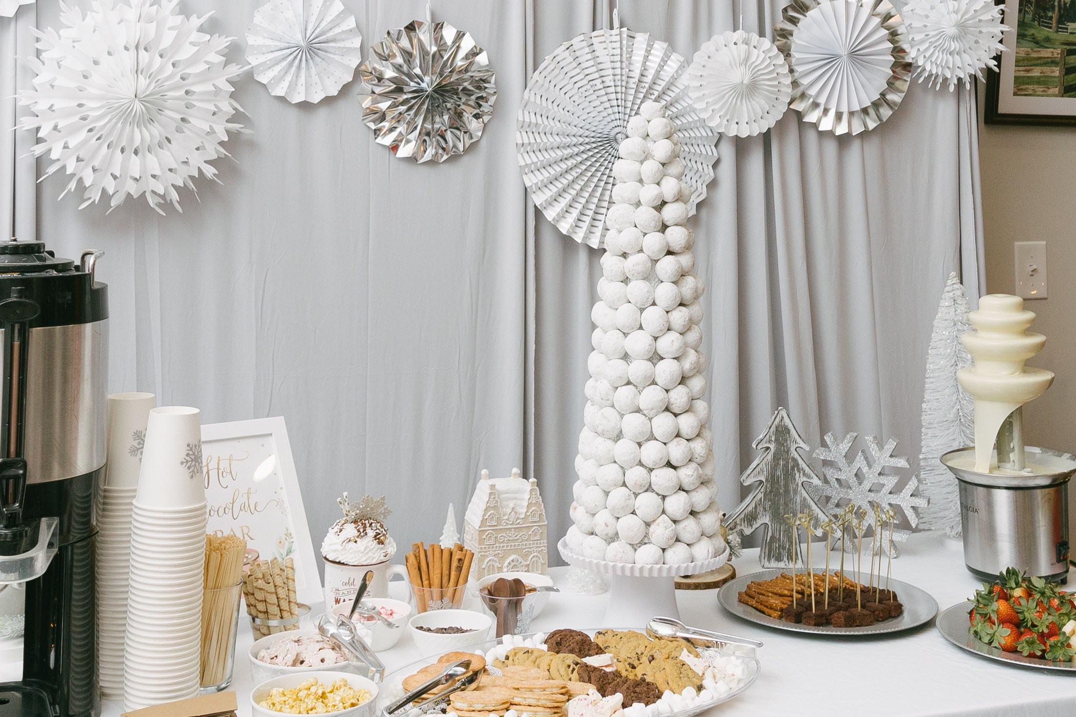 Twins Birthday. Sara Eulalia | Virginia Photographer