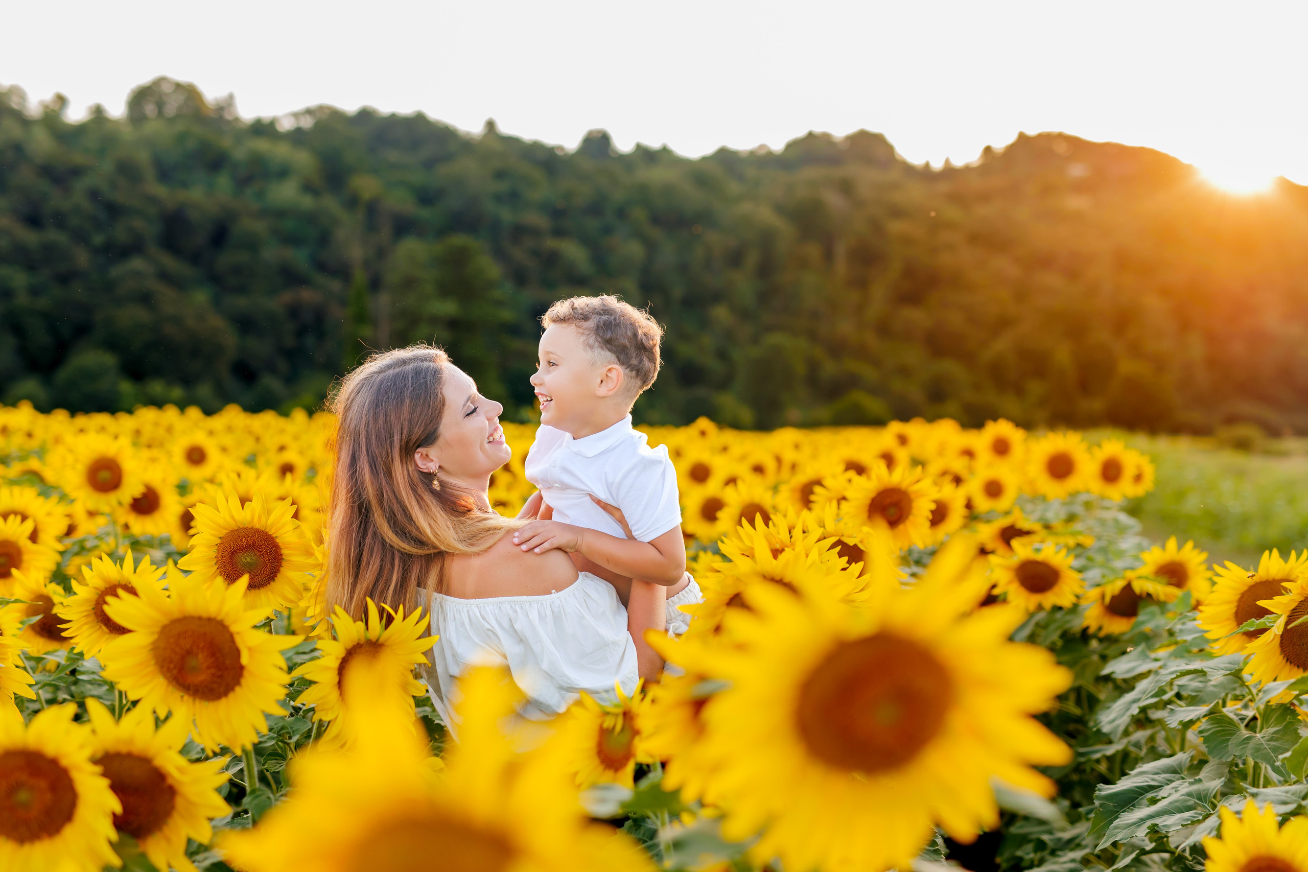 Tramonto tra i girasoli - 2026. Luci e Capricci Photography
