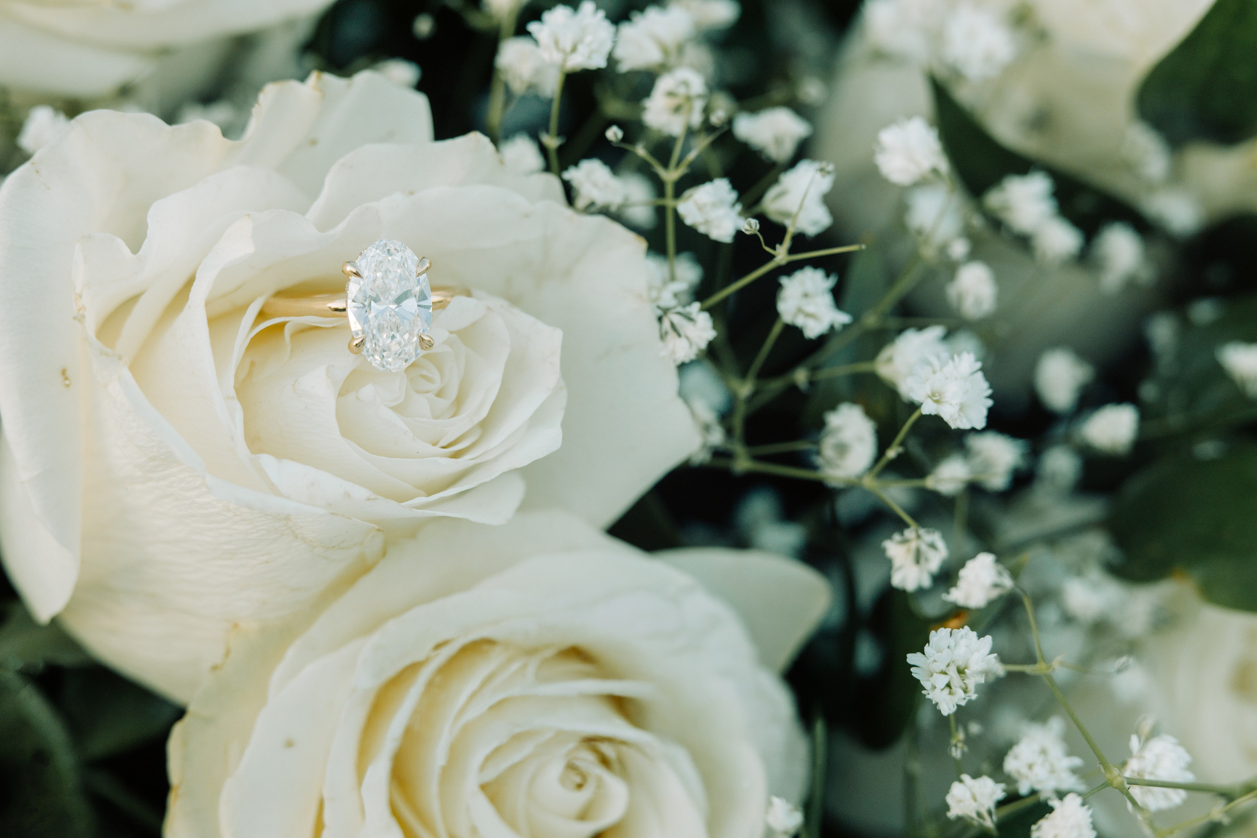 Nelee proposal. Portrait and Wedding Photographer Irene Art Photo, based in Greece, Rhodes island