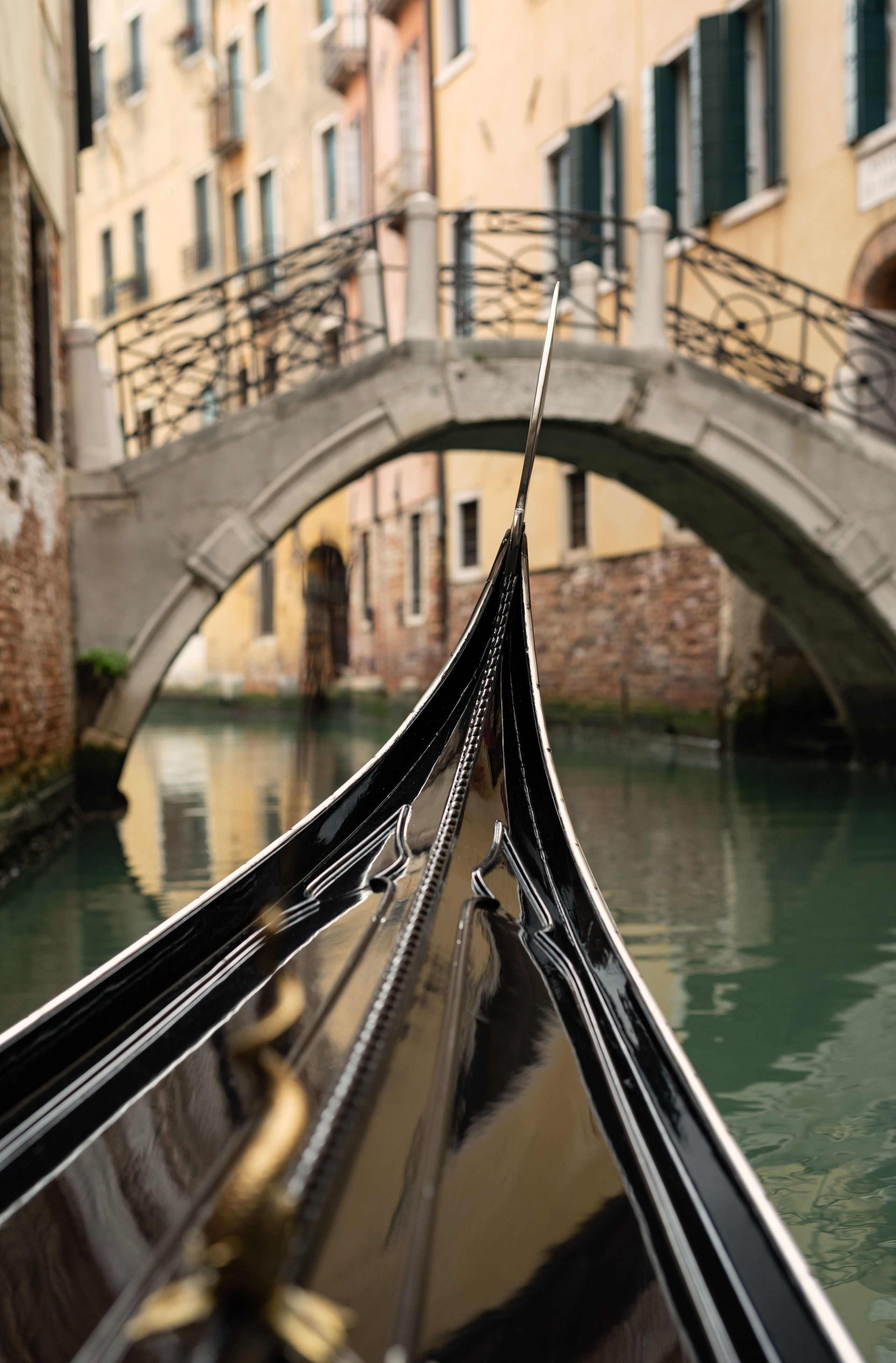 Samanta. Photographer in Venice Anna Terzi