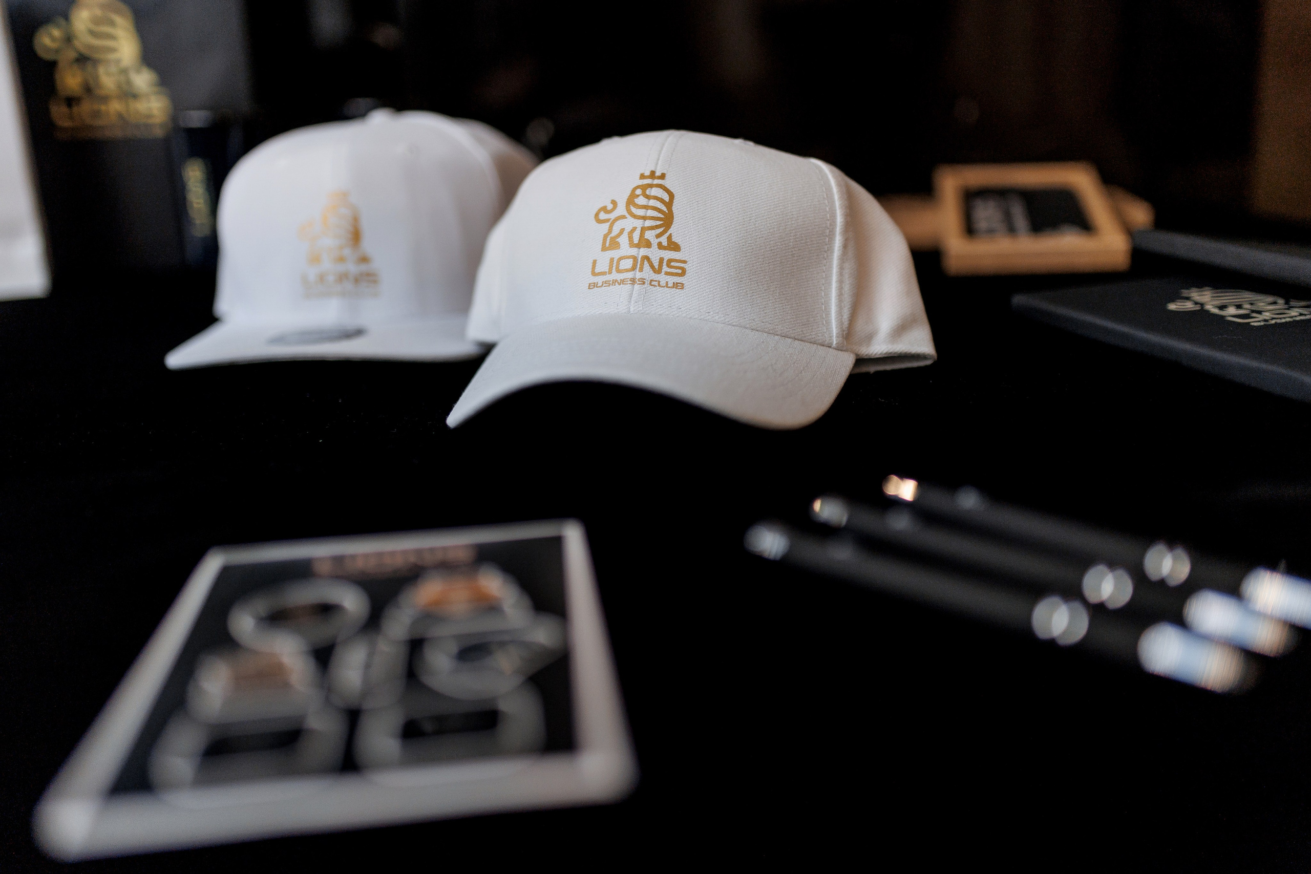 Lions DAY. Свадебный фотограф Каледич Тимофей