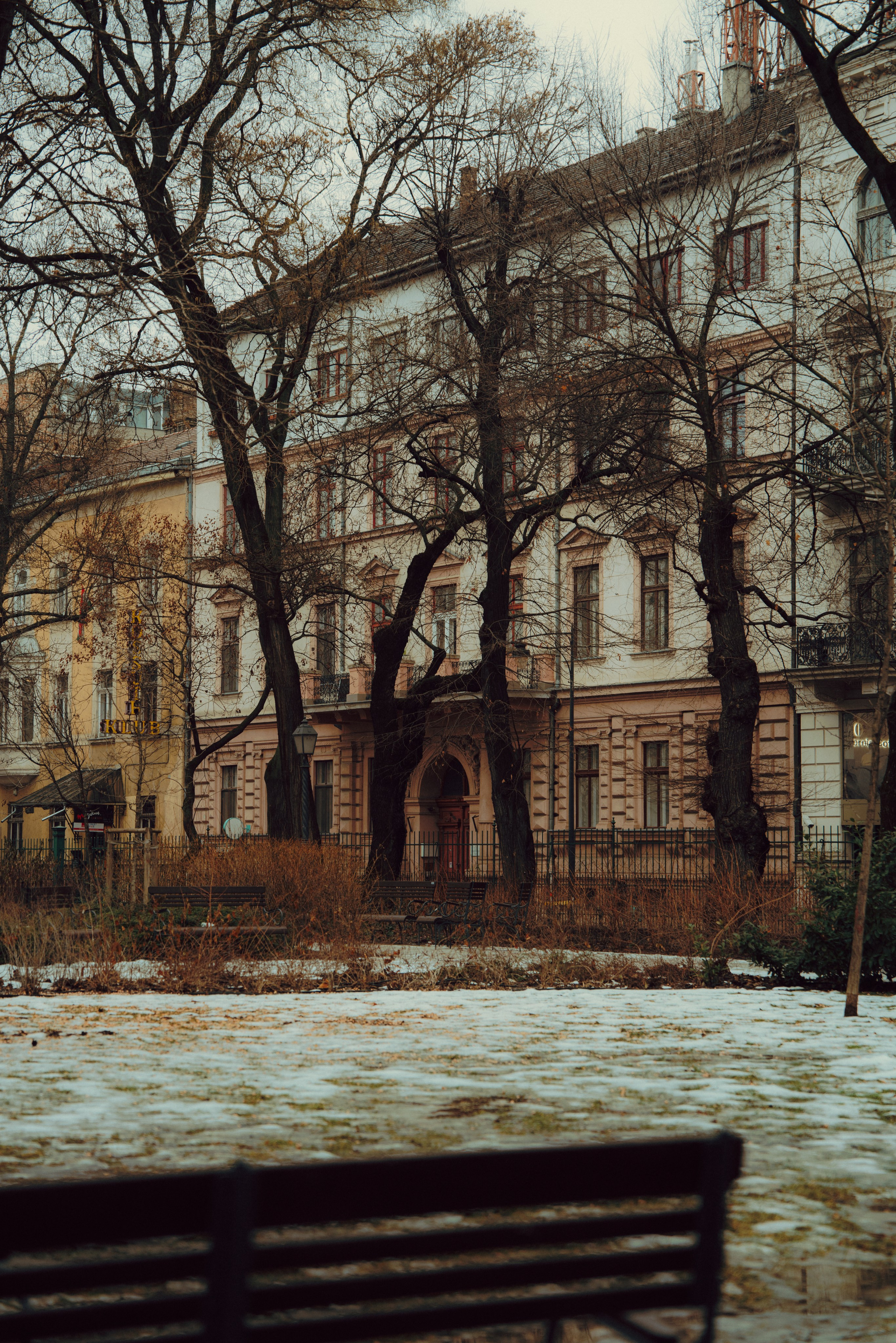 Budapest. Merabi Eminashvili