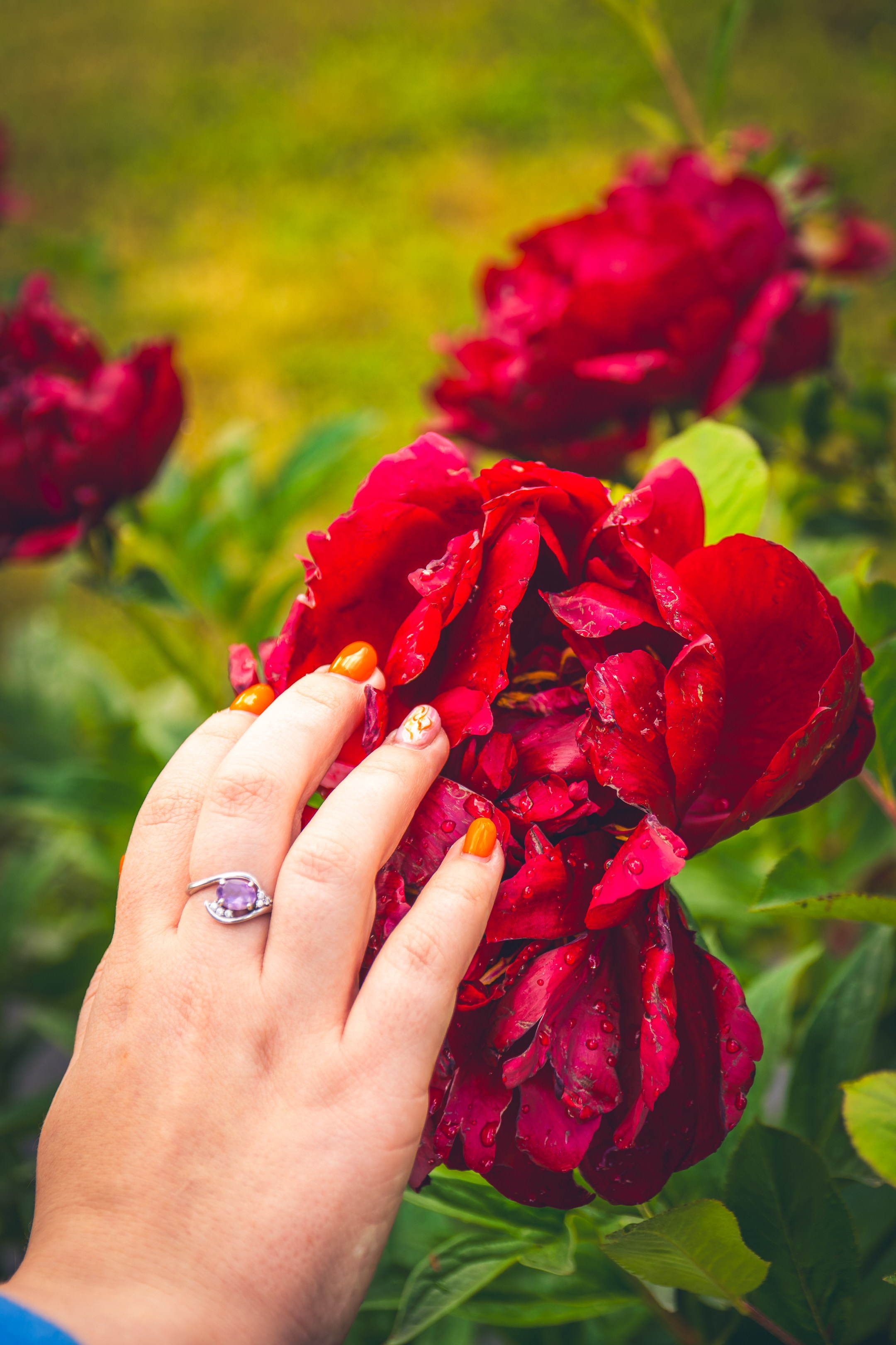 Saarema, reis. Nebula 25 — Fotod teie hingele