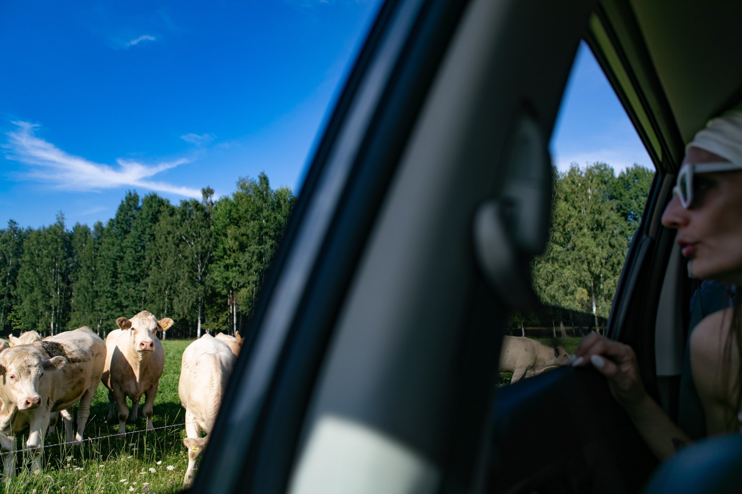 Wedding ceremony Agnese &Aleksandrs. Sandra Garanca Portrait and event photographer