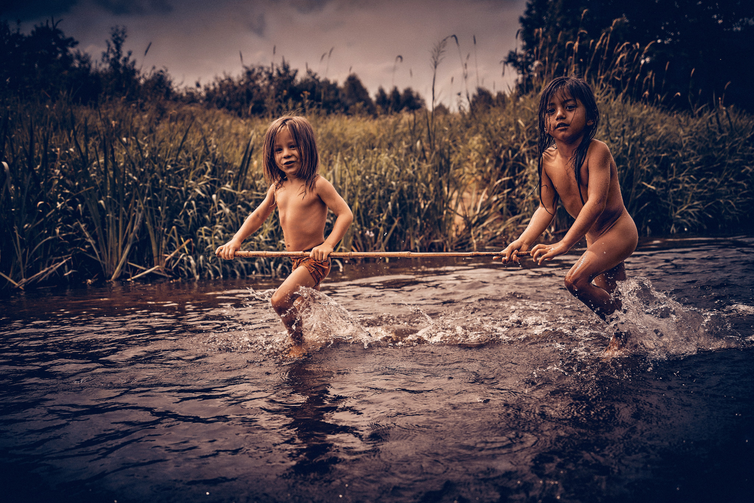 Organic Festival 2024. Андрей Шипилов — Фотография & Видеография