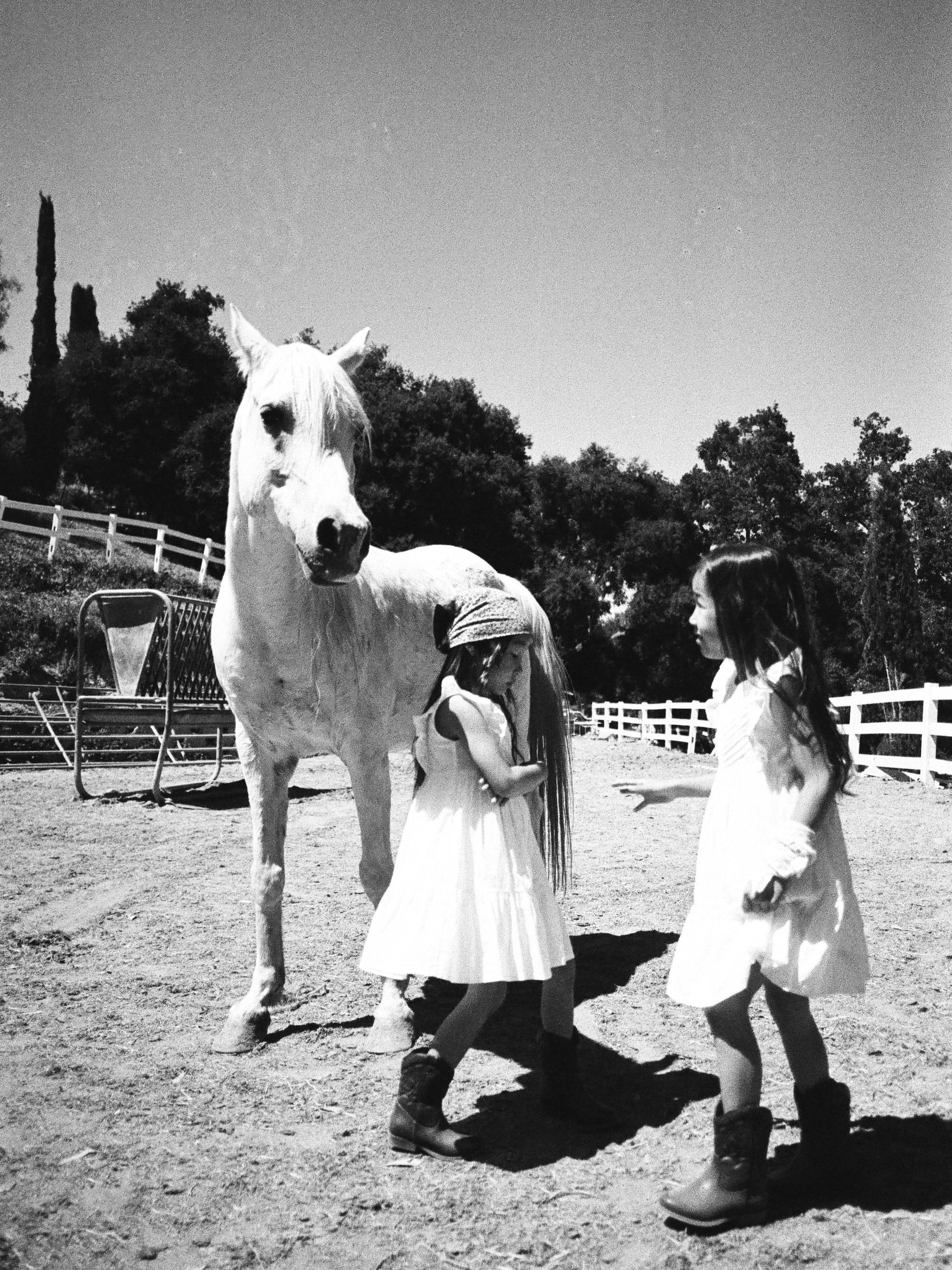 FILM PHOTOGRAPHY. Фотограф и видеограф в США (и по всему миру) — Татьяна Иванова