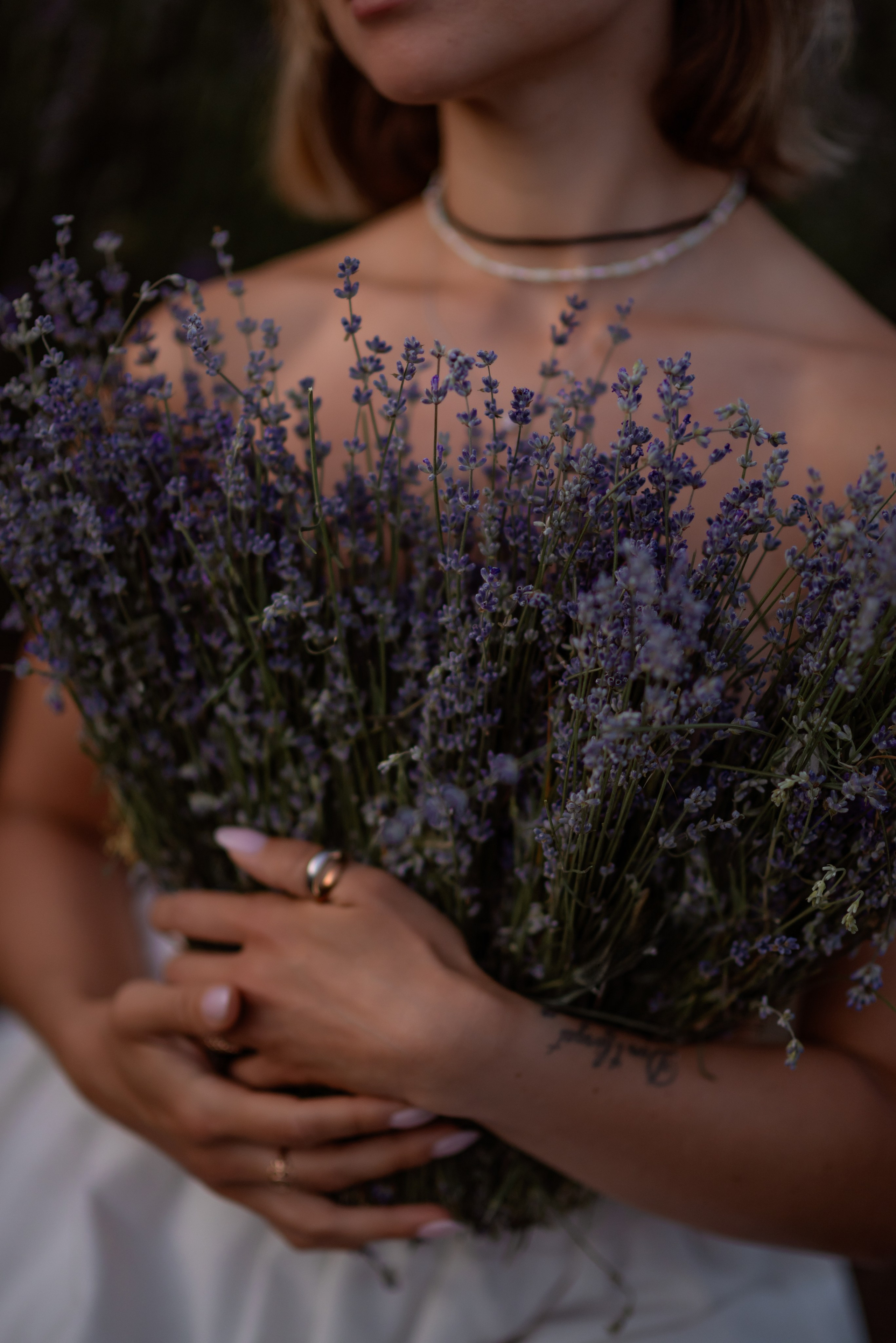 Лавандовое поле в Анталии. Фотограф Анталия, Кемер, Белек, Сиде Дарья Кая