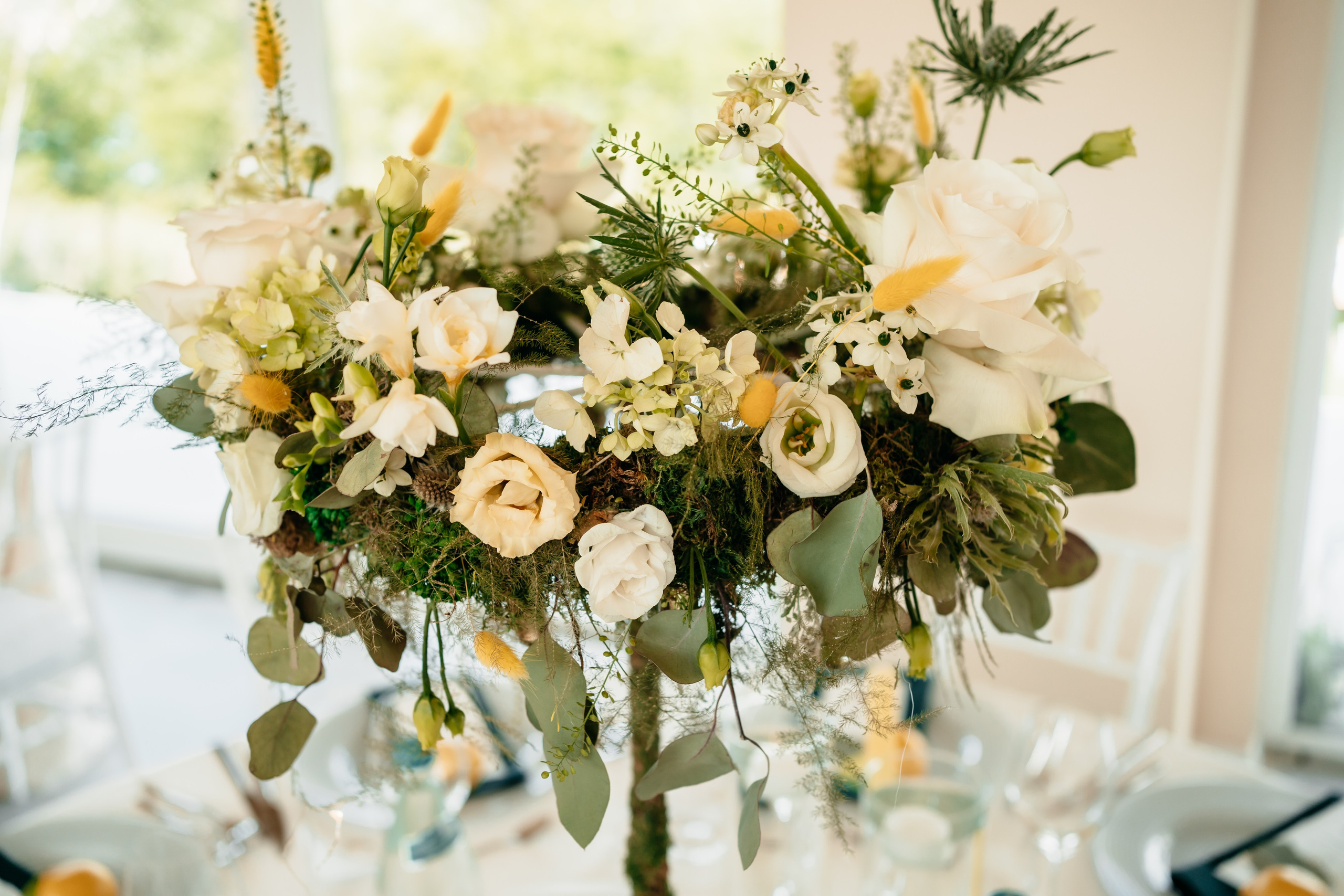 R & R. Fotograf Nunta Iasi - Hearts & Pictures