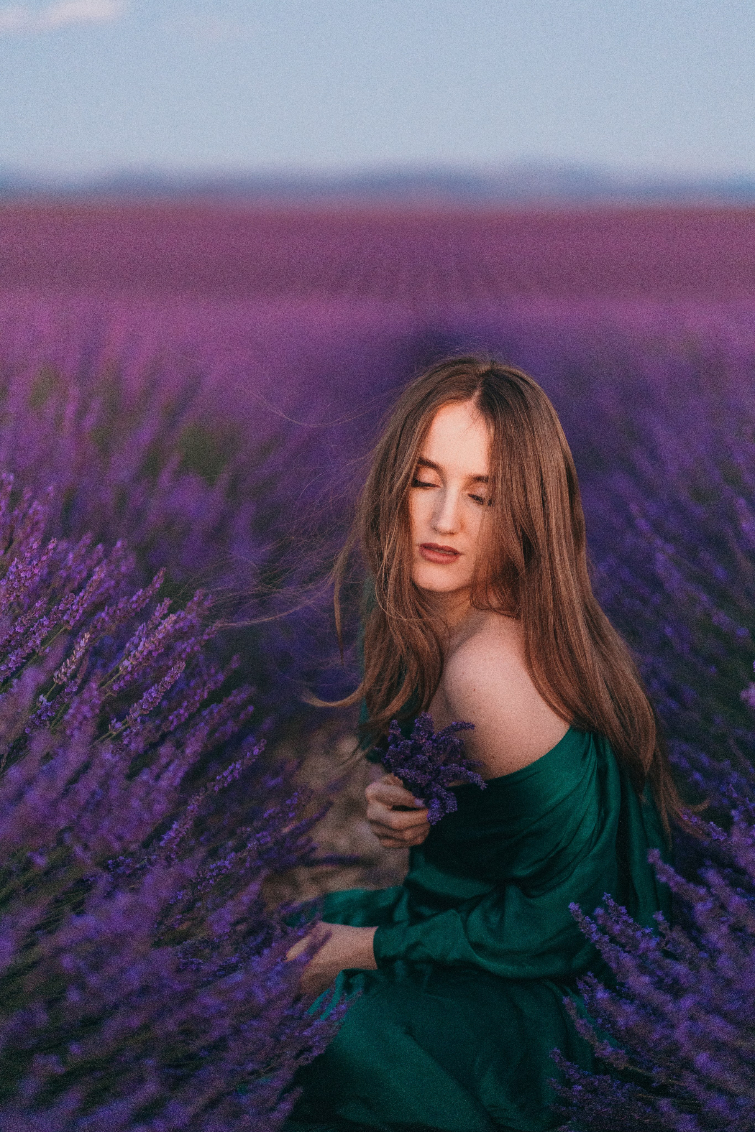 Lavendel. Kristina Podolyakova - Fotografin in Ludwigsburg