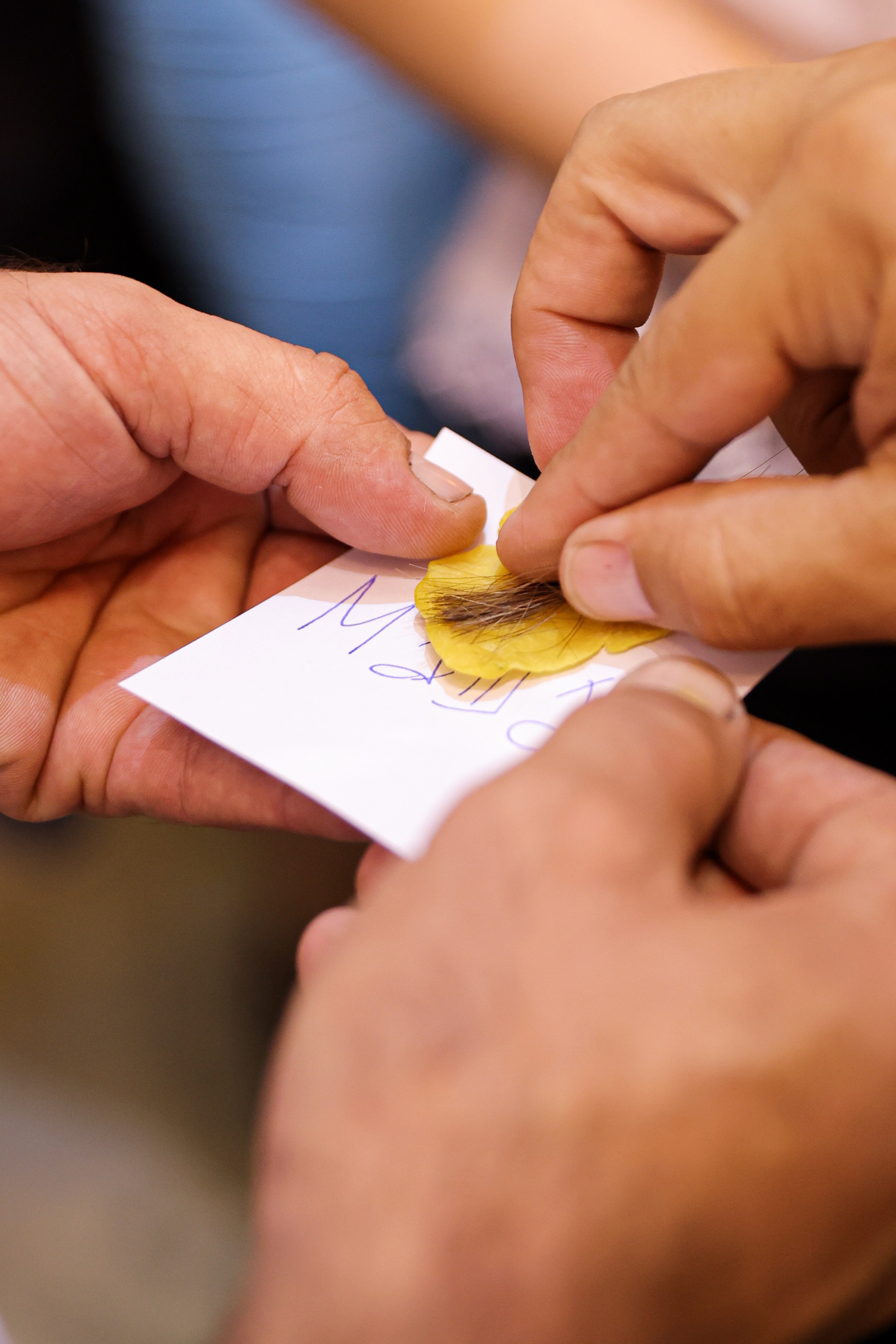 Christening’s. Filić Aleksandar