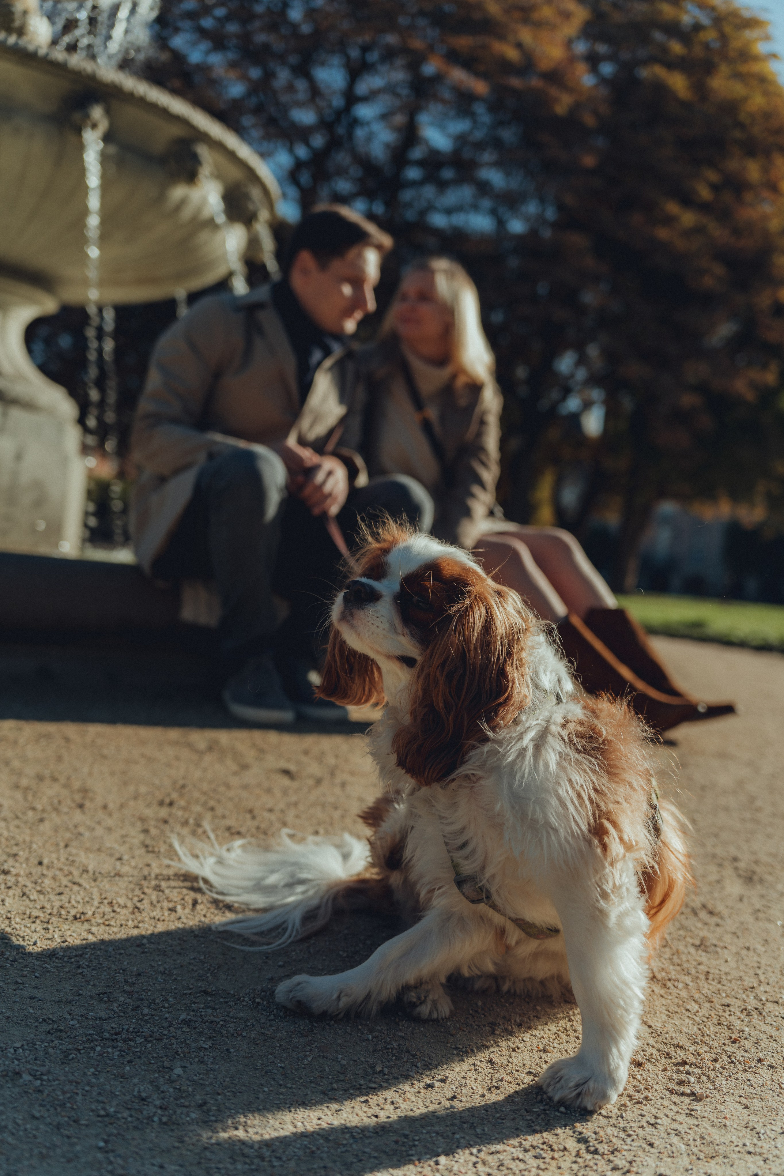 Lovestory. Dani's eyes