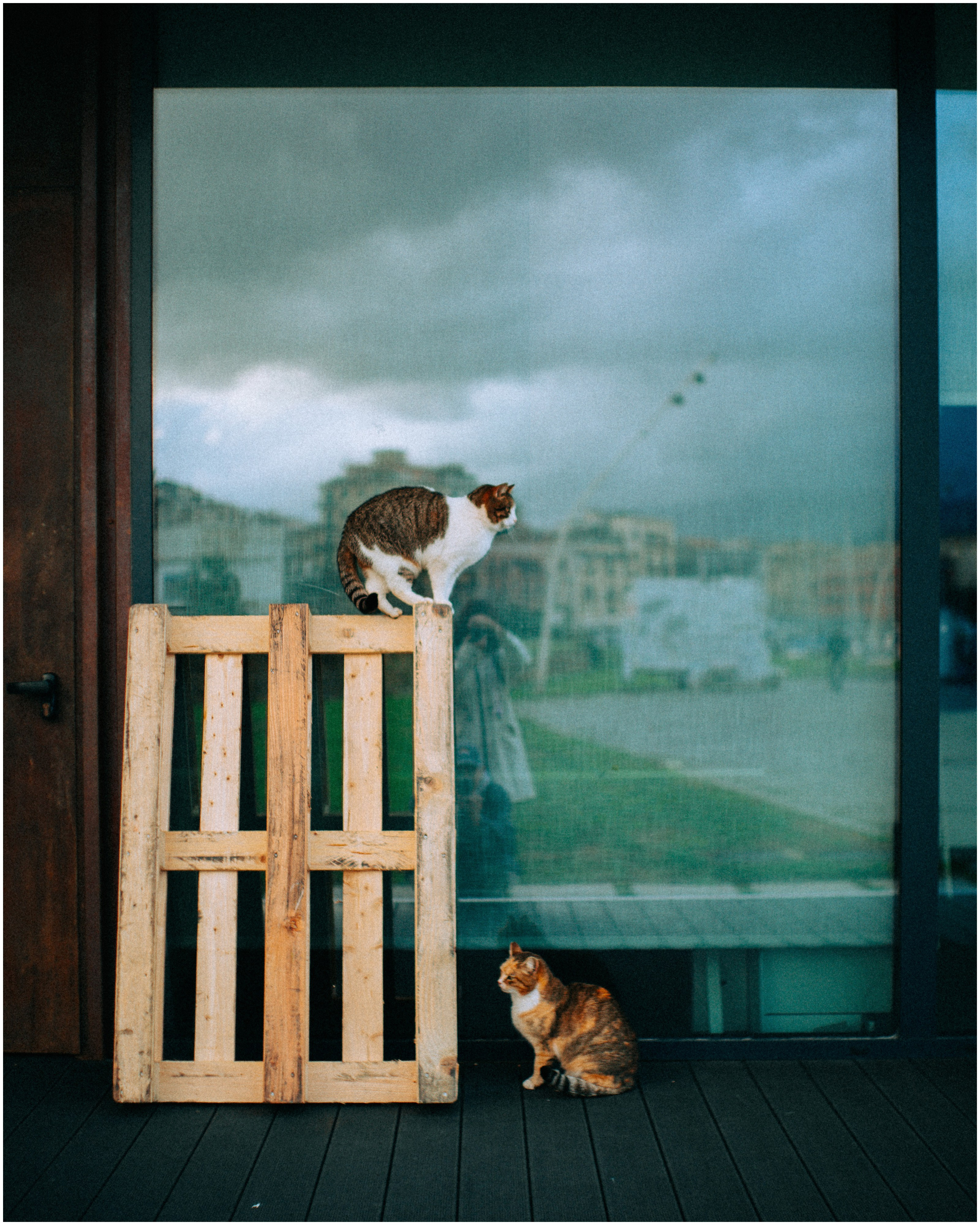 PALERMO. Photographer Inna Mendelson