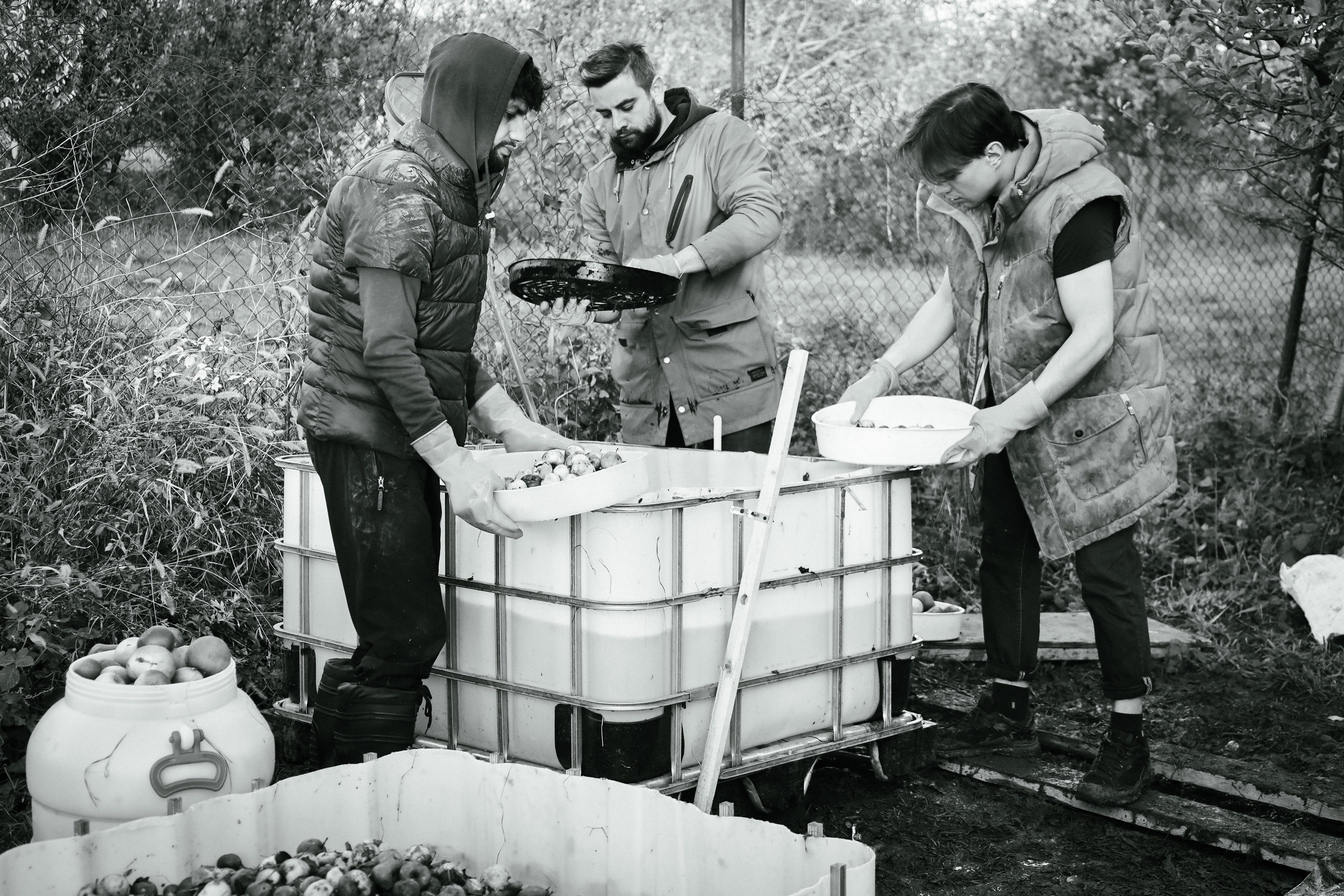Factory reportage (hand-crafted cider). Asmikiam