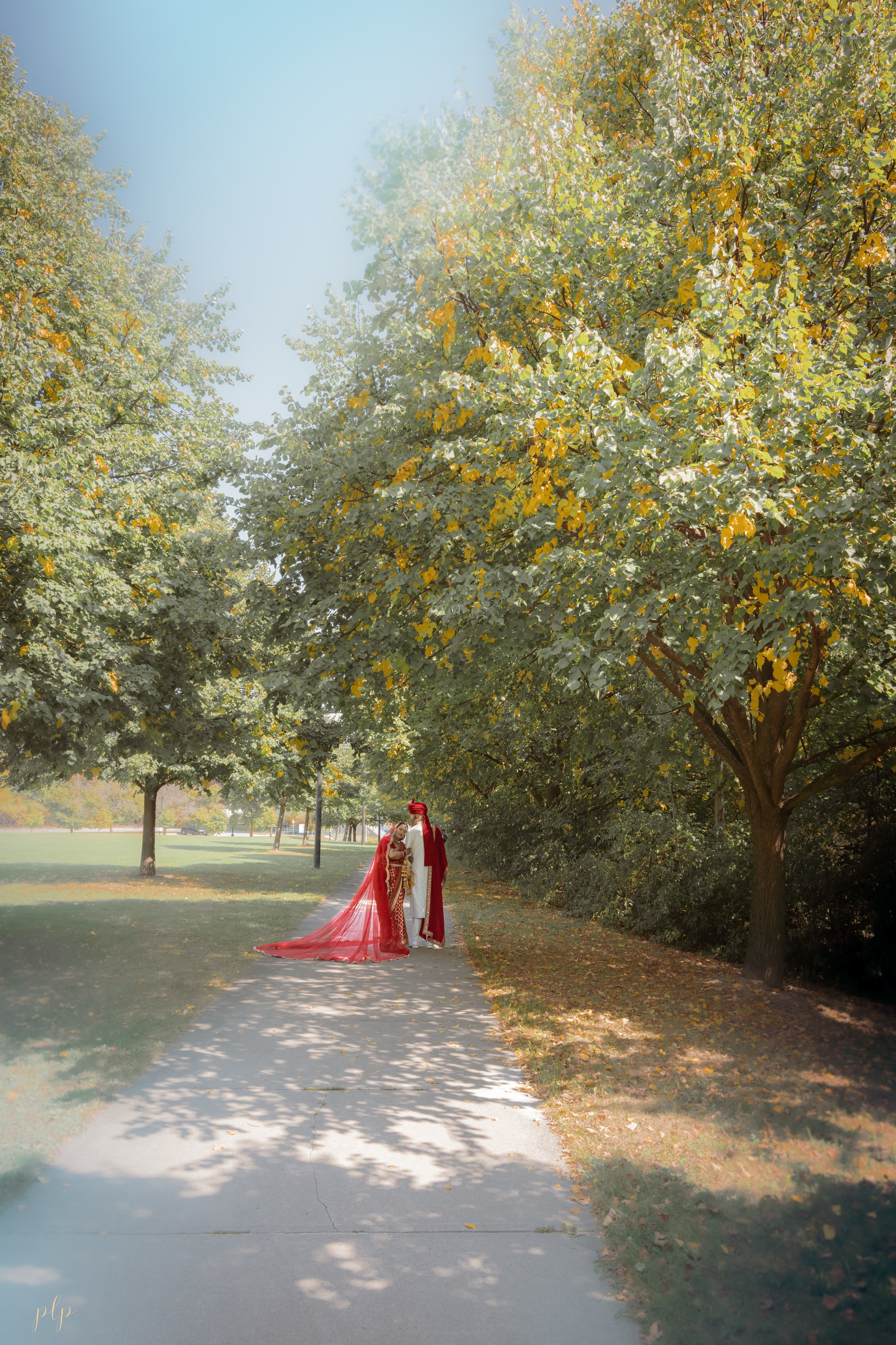 Arti & Dan. Wedding Photographers and Filmmakers