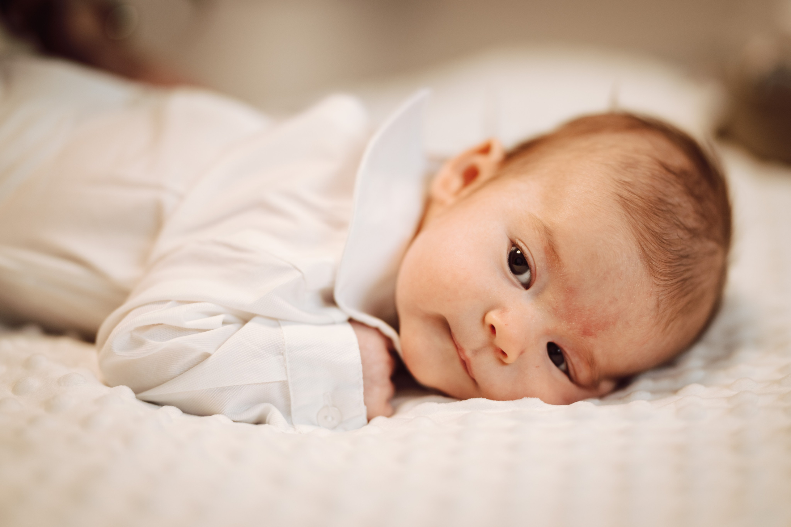 Selim. The Catalins Events — Wedding Photography & Videography