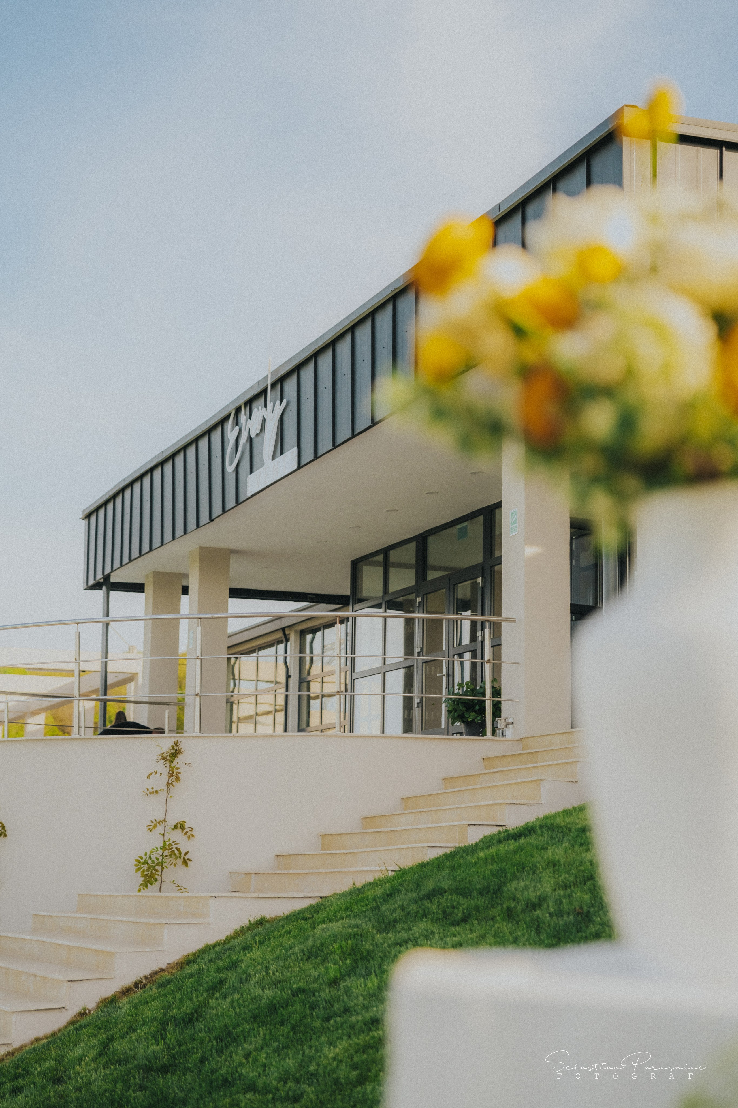 Love & Lemons. Sebastian Purusniuc Fotograf - Iasi