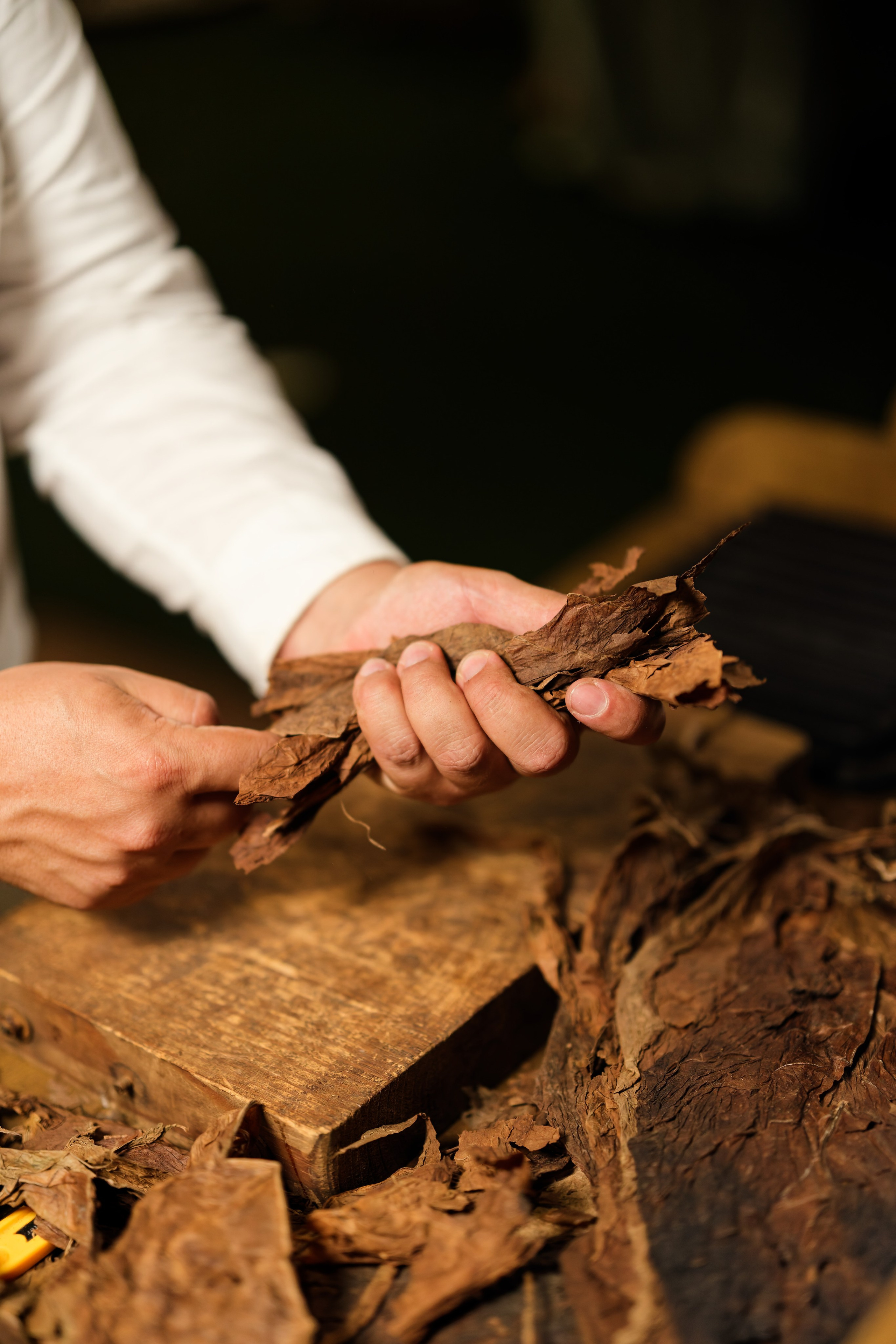 Welcome dinner of Gracie & Joe at Gran Villa Rosa