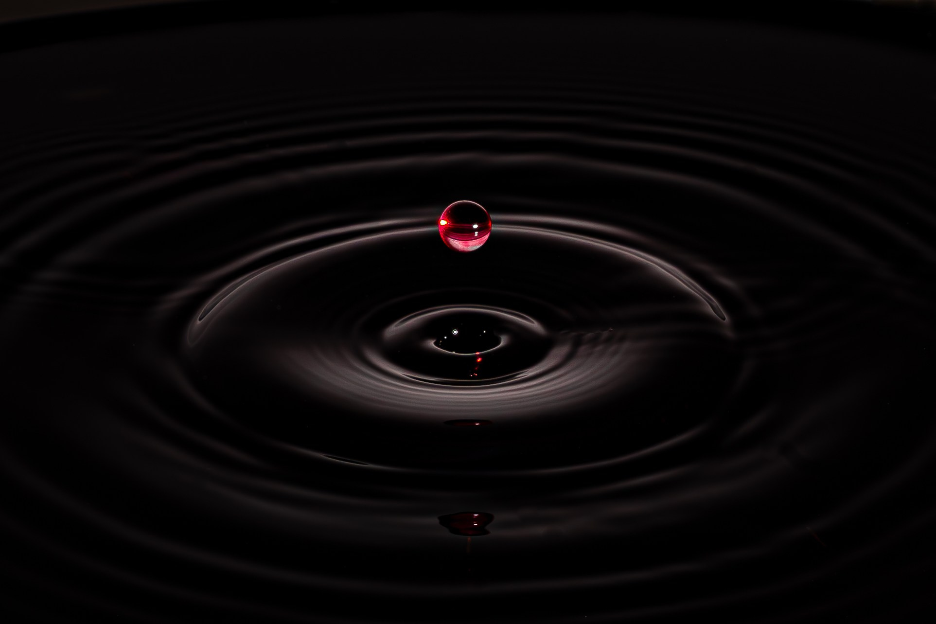 Fotografie produs & mancare. Fotograf și Videograf Nuntă & Evenimente | Pixtory - Constanta