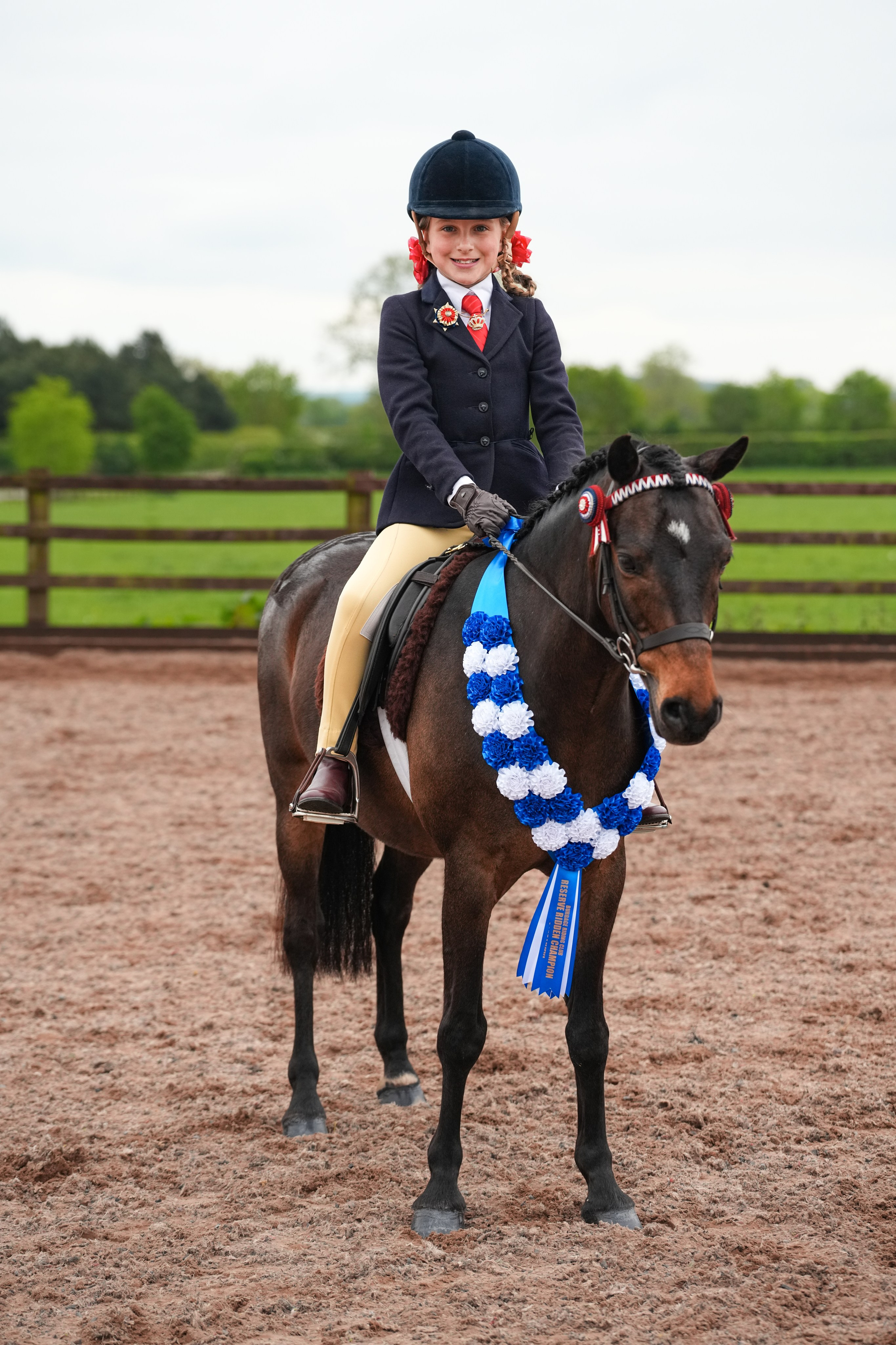 Showing. Leicestershire Equine Photography by El | Authentic Equine Portraits & Events